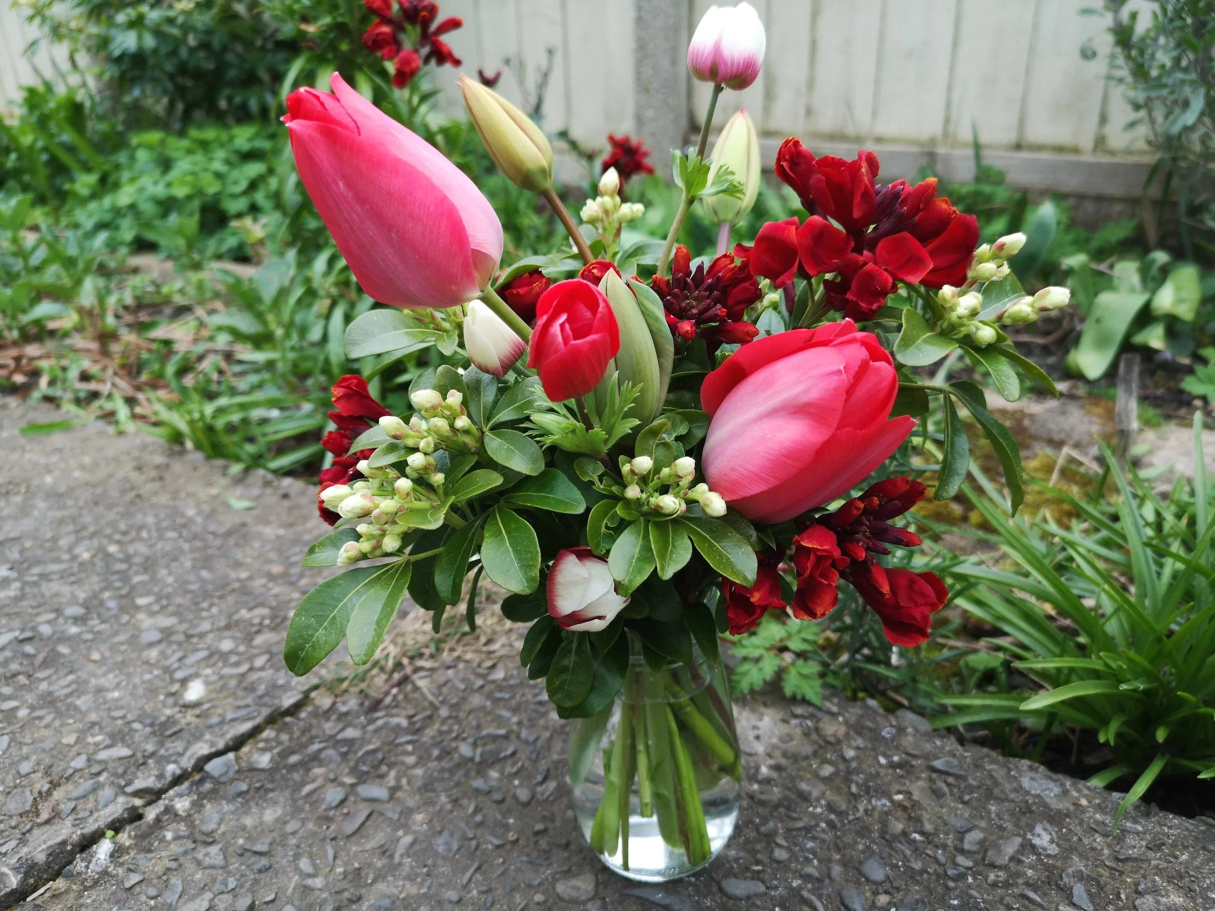 Spring Posy Red