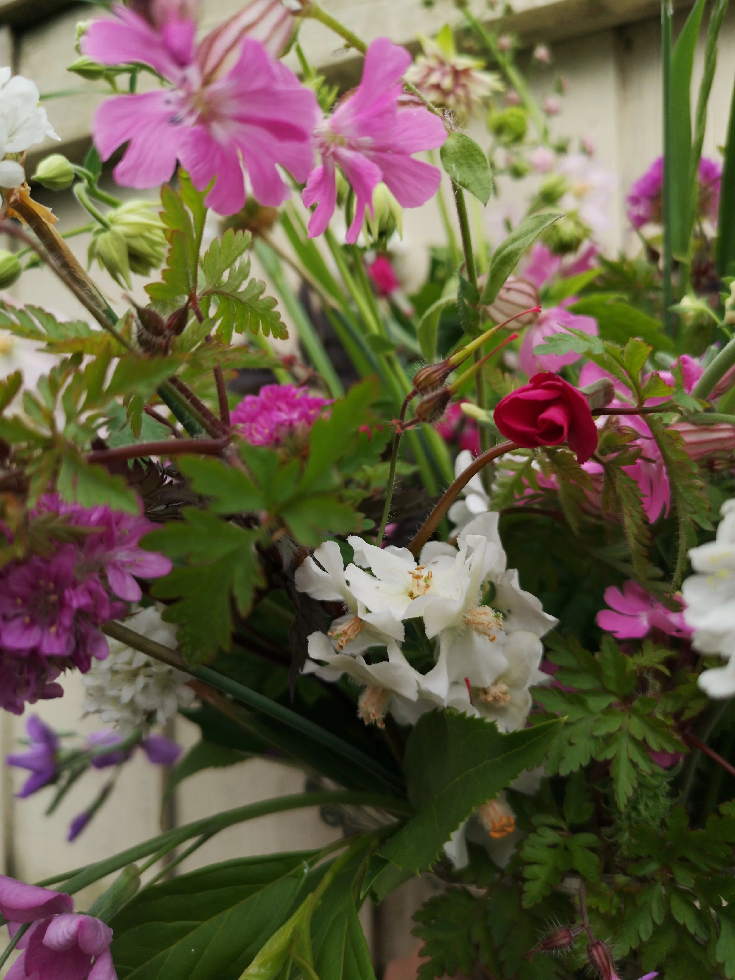 british flowers for delivery liverpool.jpg