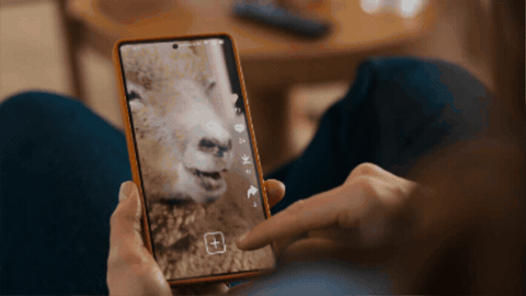 gif (14).gif