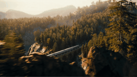 gif (18).gif