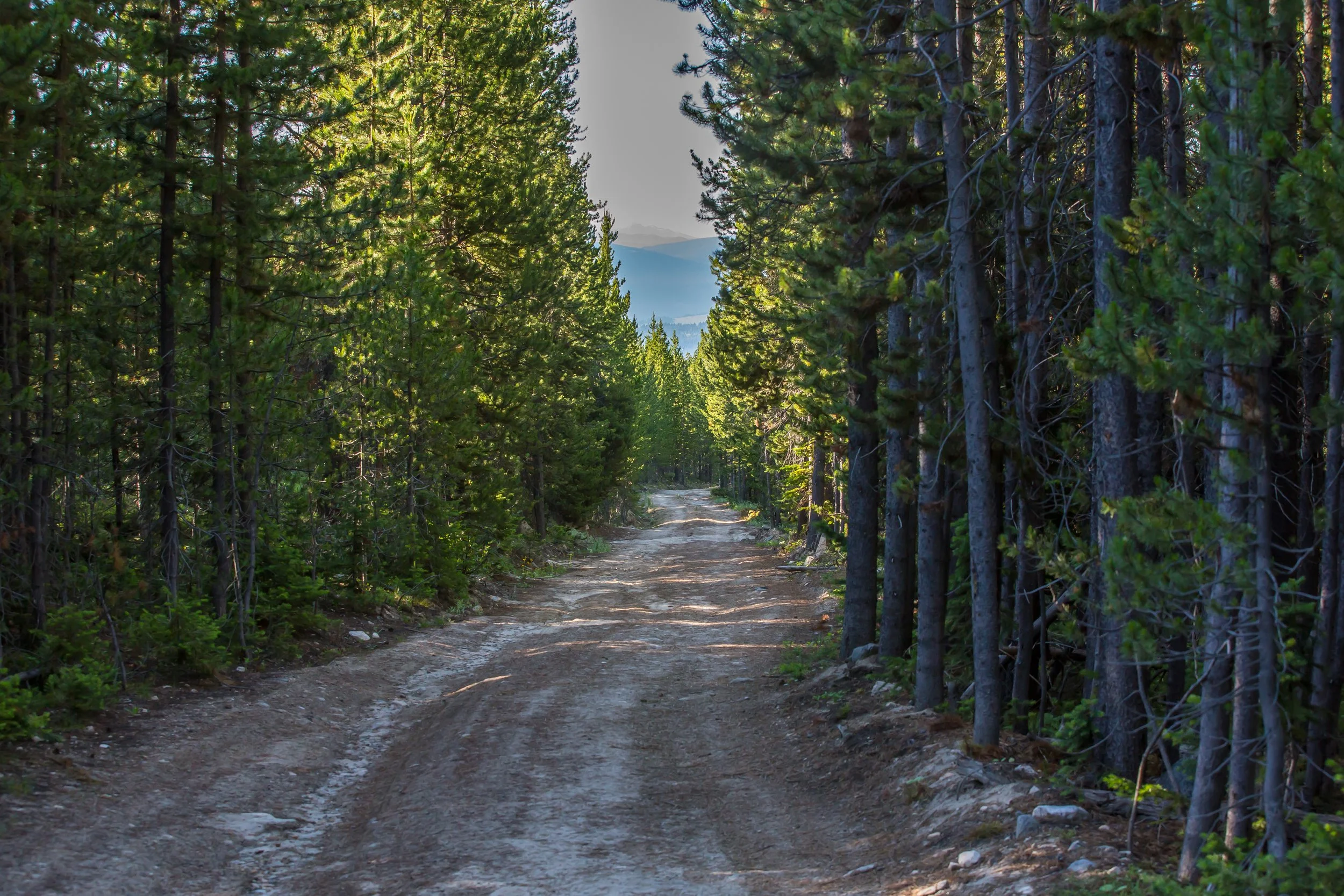 Circle M Ranch-5953.jpg