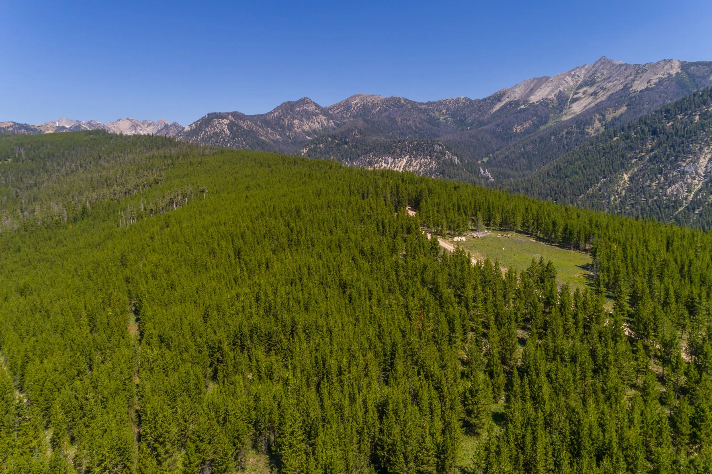 Circle M Ranch-0072.jpg