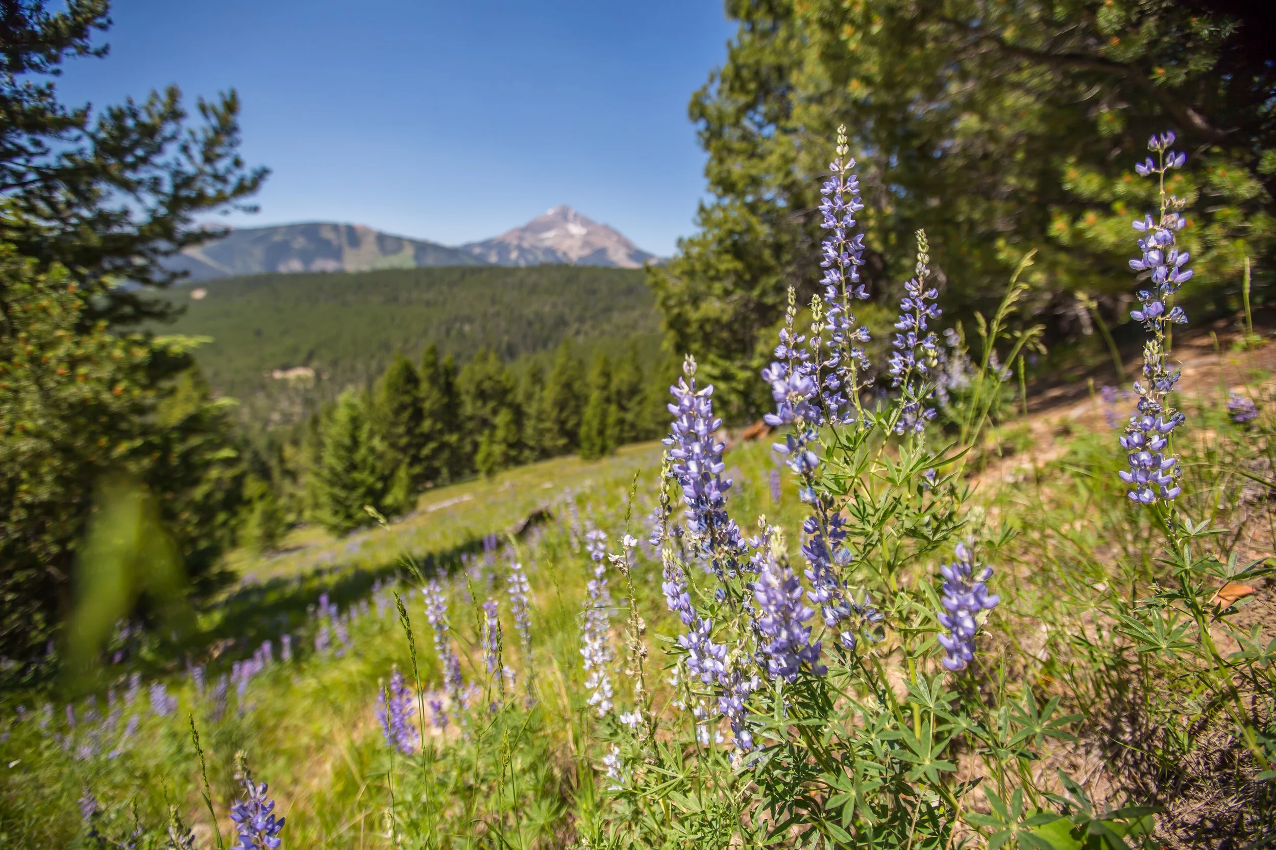 Circle M Ranch-6008.jpg