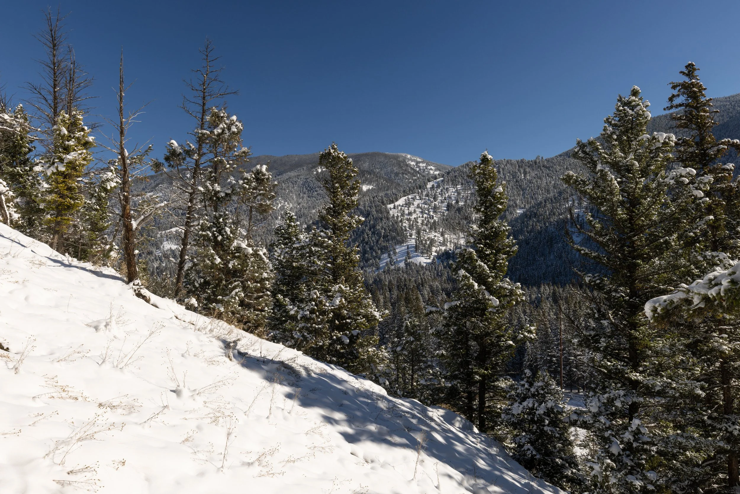 48295 Gallatin Rd Lot 10.jpg