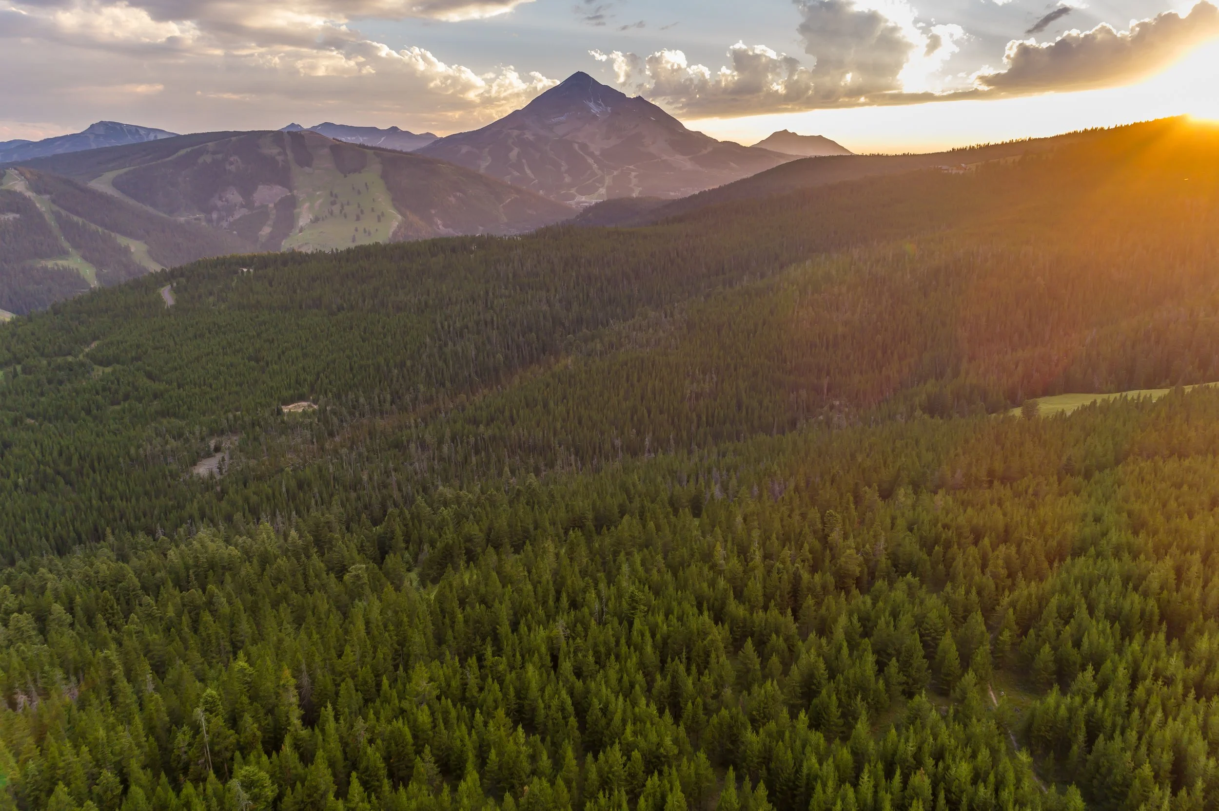 Circle M Ranch-0039.jpg