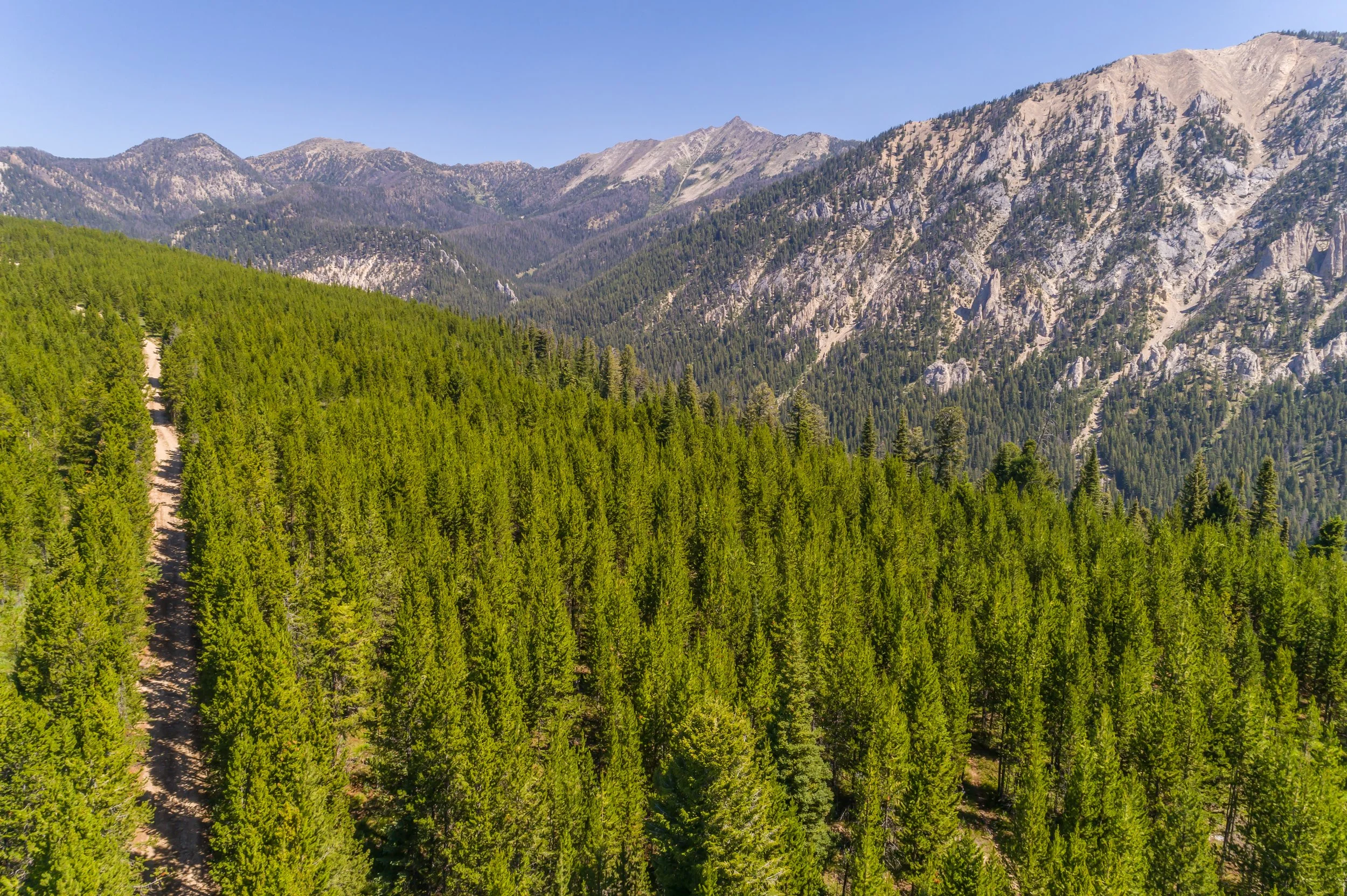 Circle M Ranch-0062.jpg