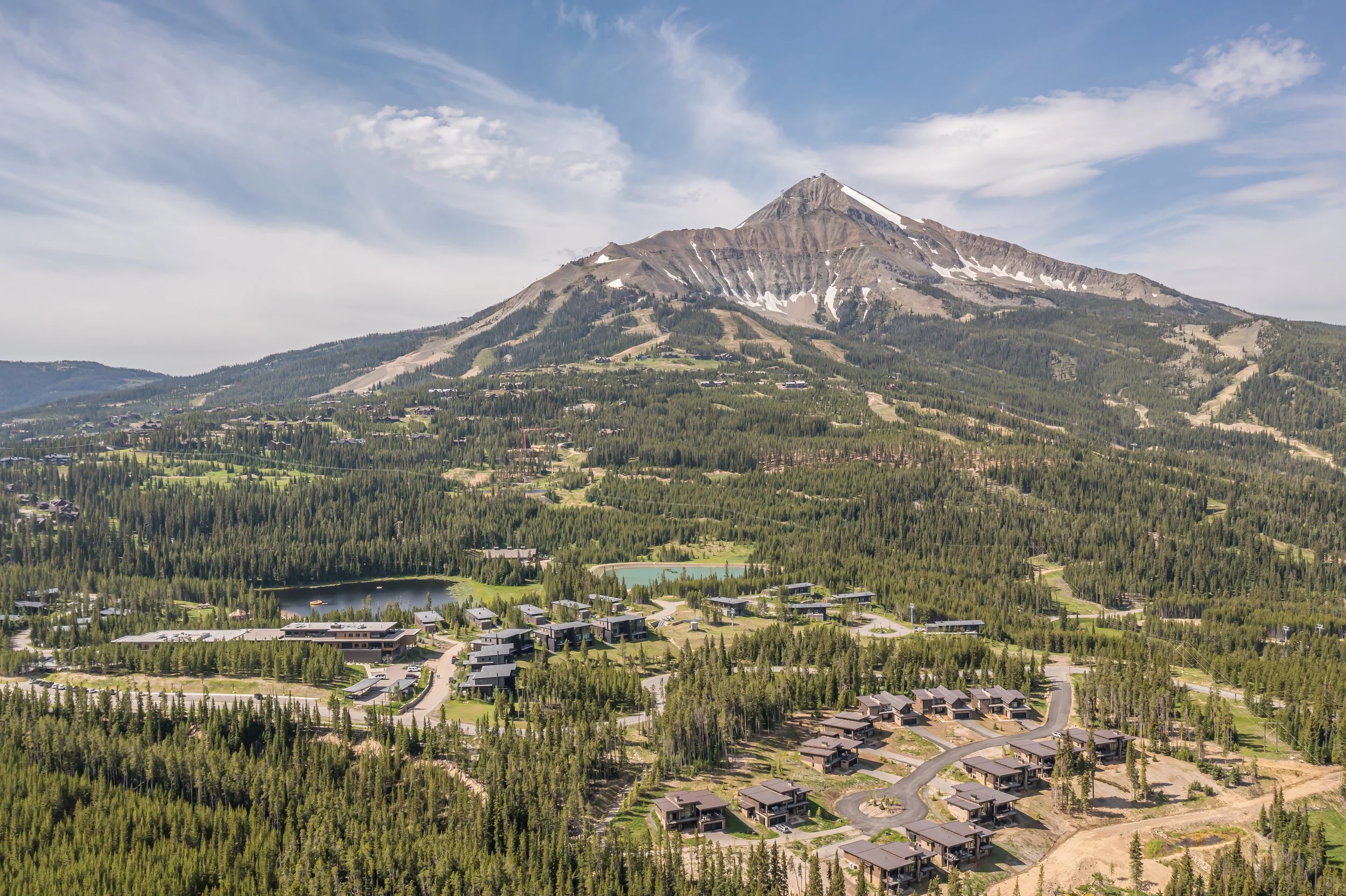 Speedwell 8-0021.jpeg