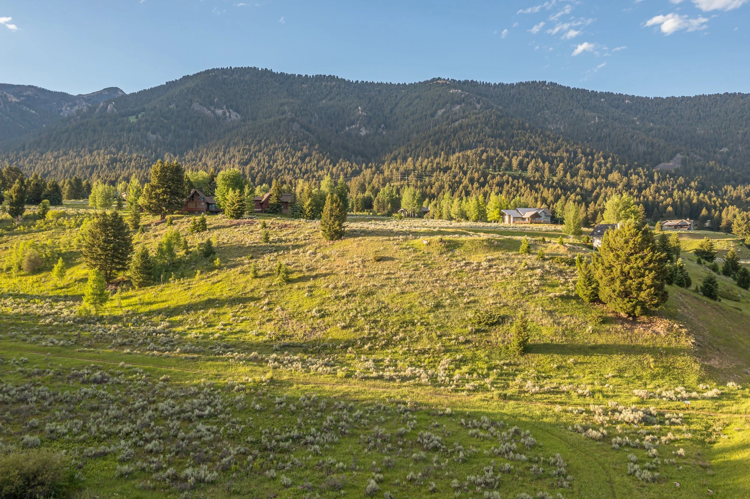 Little Coyote Lot 30-0053.jpg