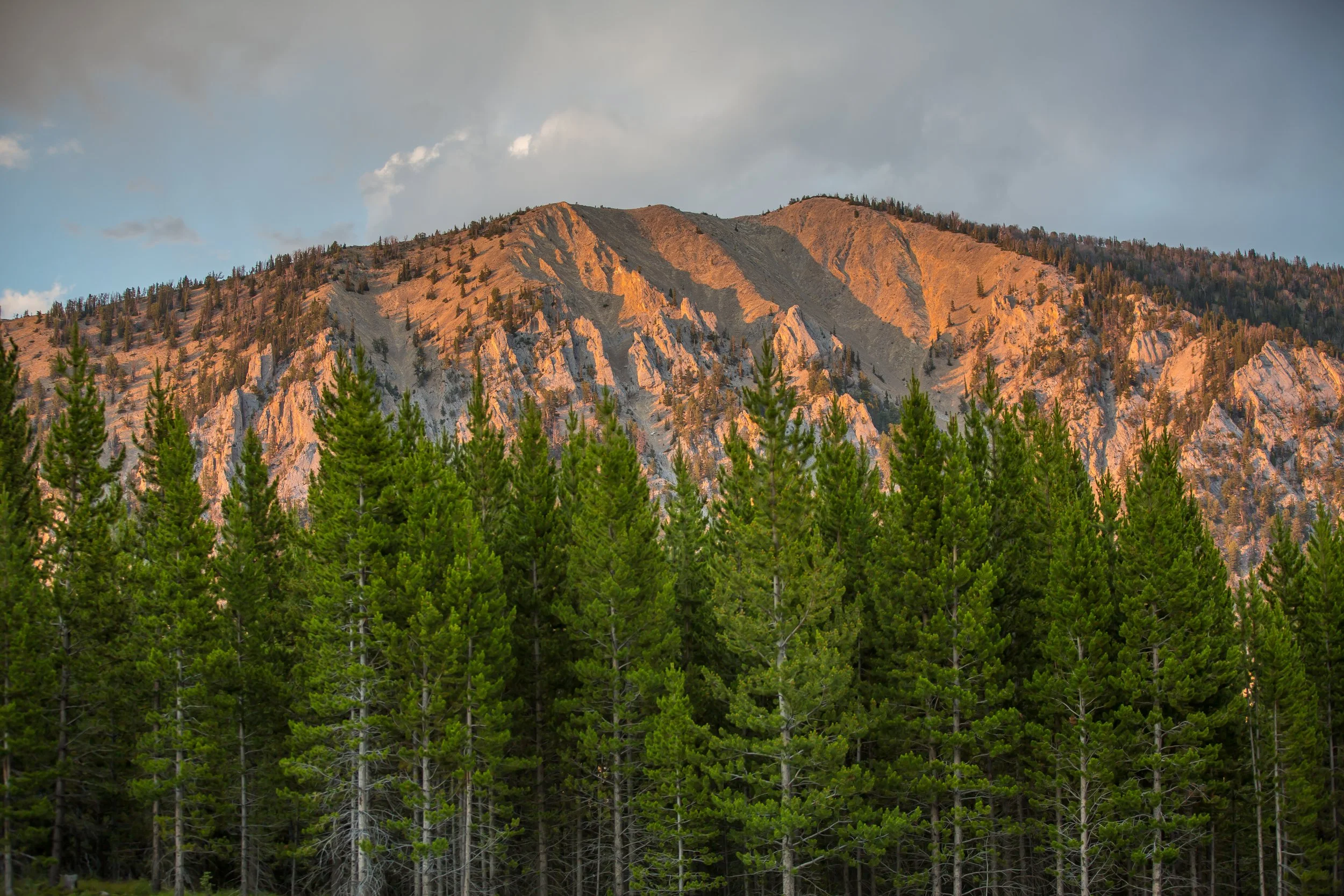 Circle M Ranch-5979.jpg