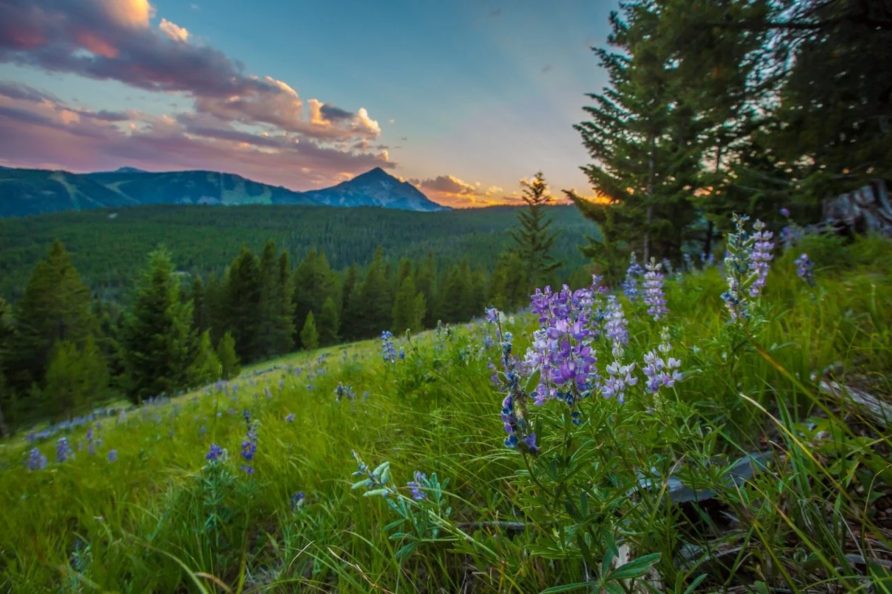 320-ACRE PARCEL | $8,500,000