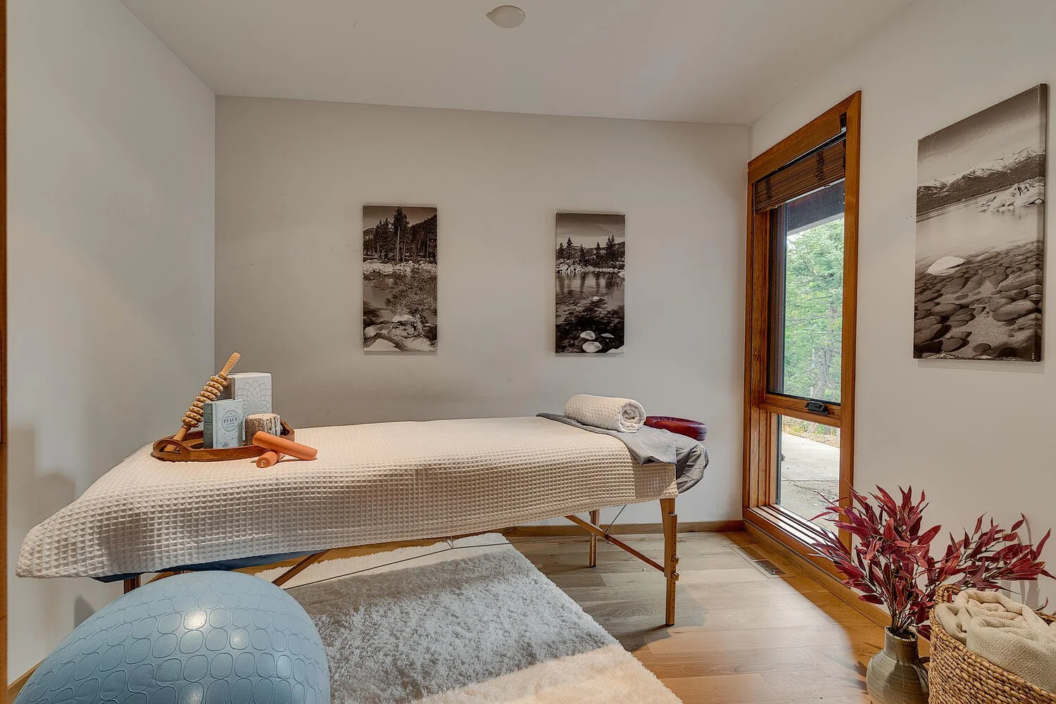1620_lanny_ln_olympic_valley-large-026-003-bonus_room-1500x1000-72dpi.jpg