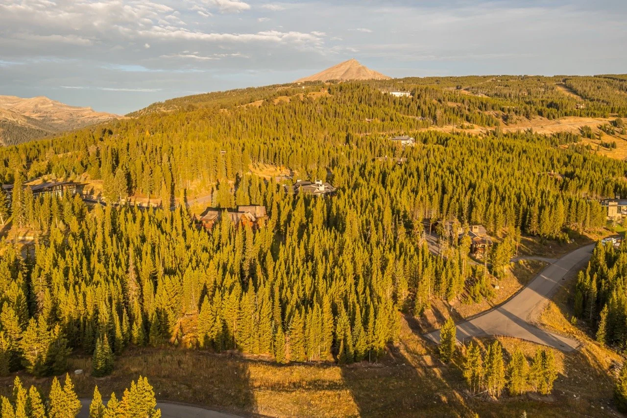 SPMC Lot 76-0959 Large.jpeg