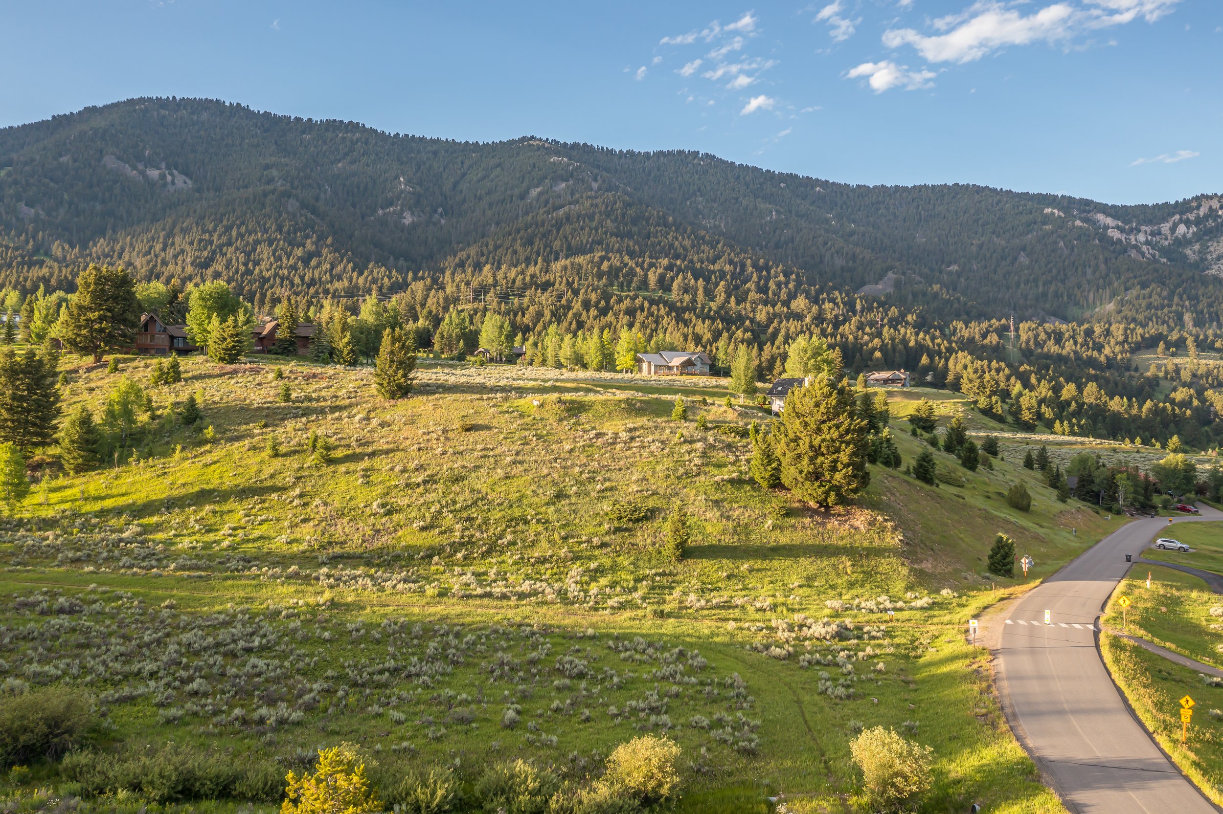 Little Coyote Lot 30-0054.jpg