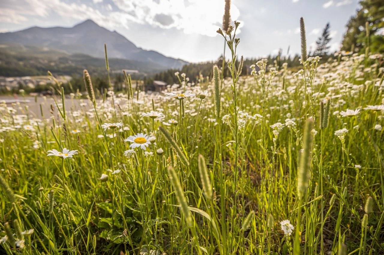 Washakie Lot 23-7111 Large.jpeg