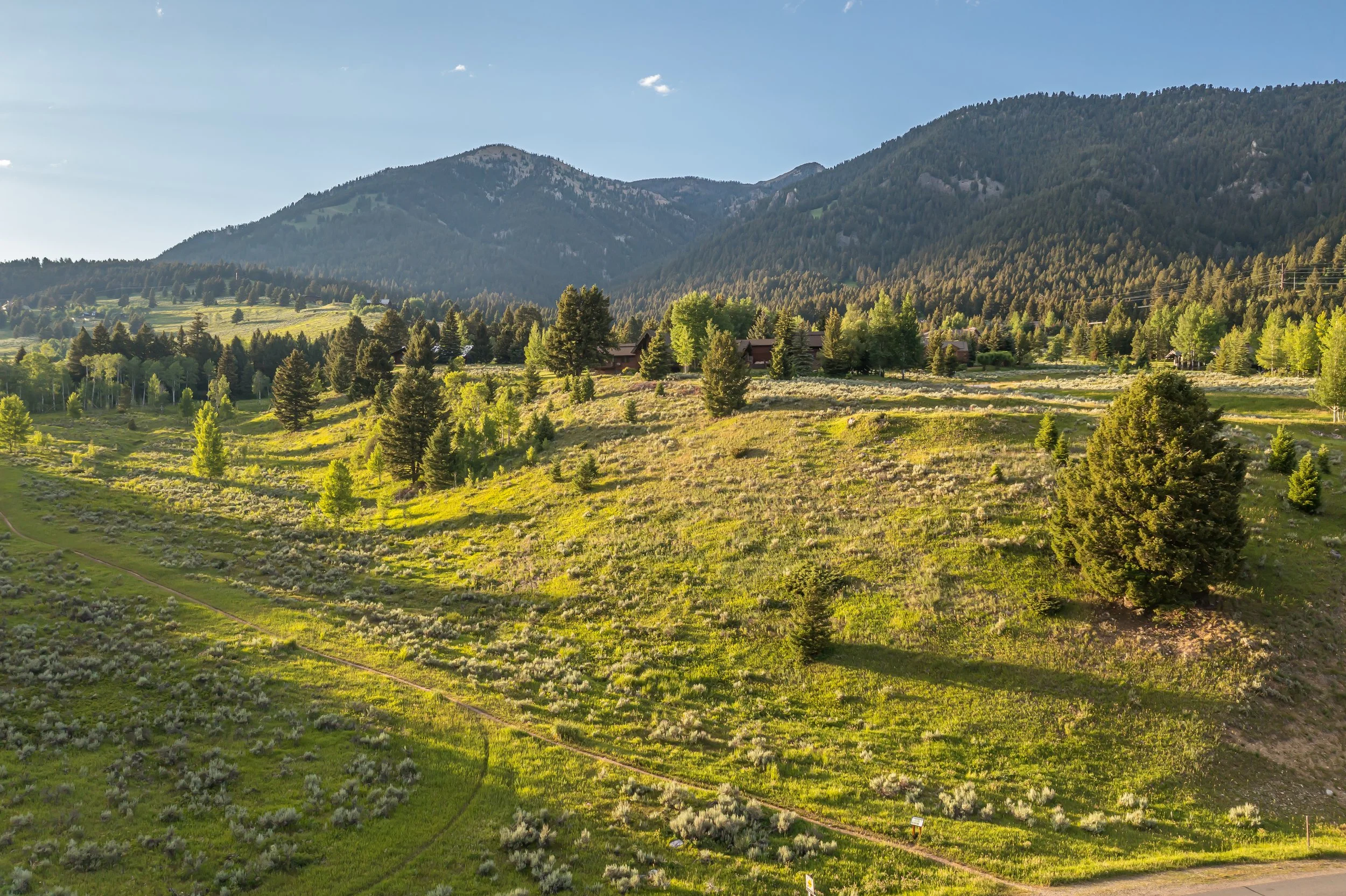 Little Coyote Lot 30-0052.jpg