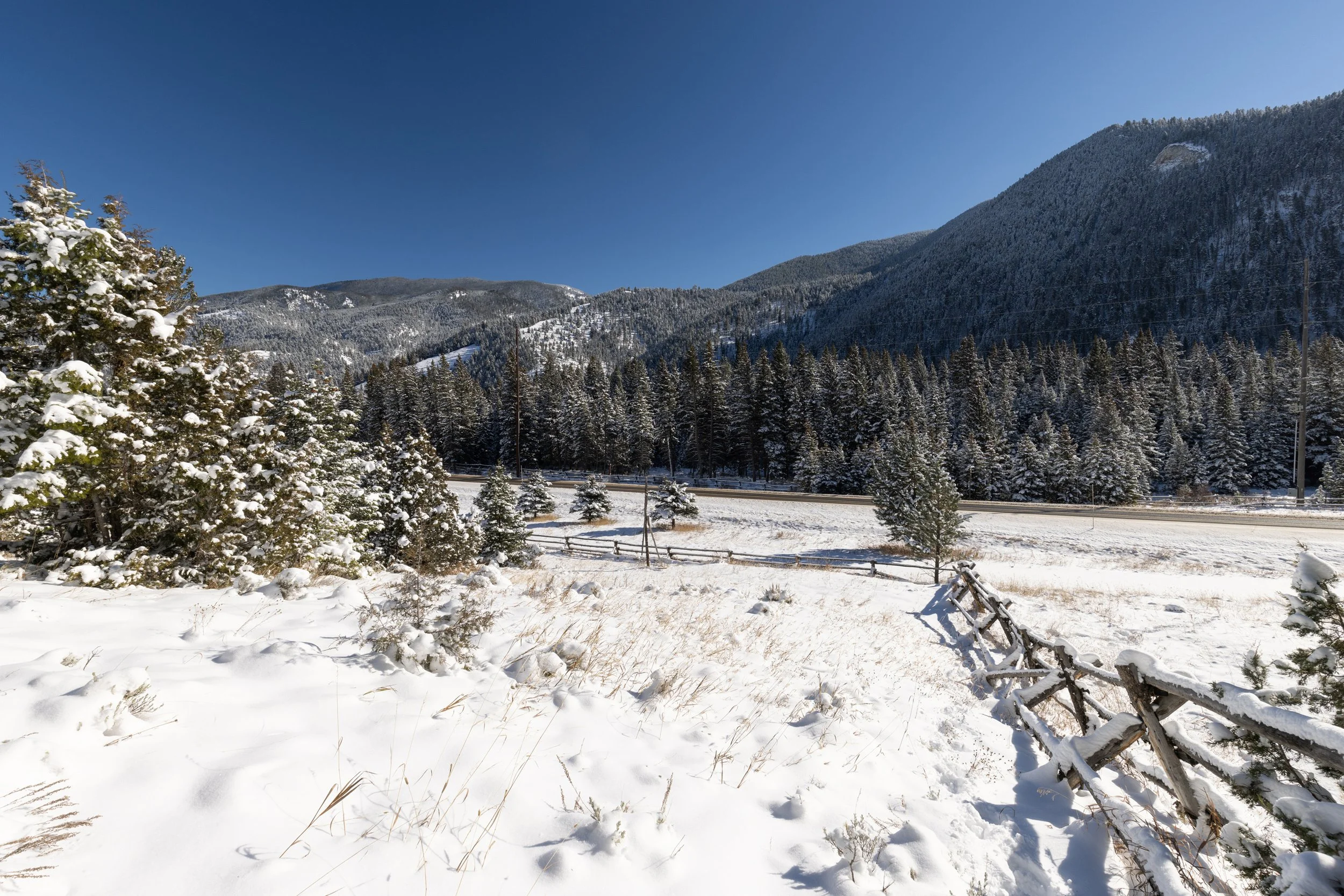 48295 Gallatin Rd Lot 2.jpg