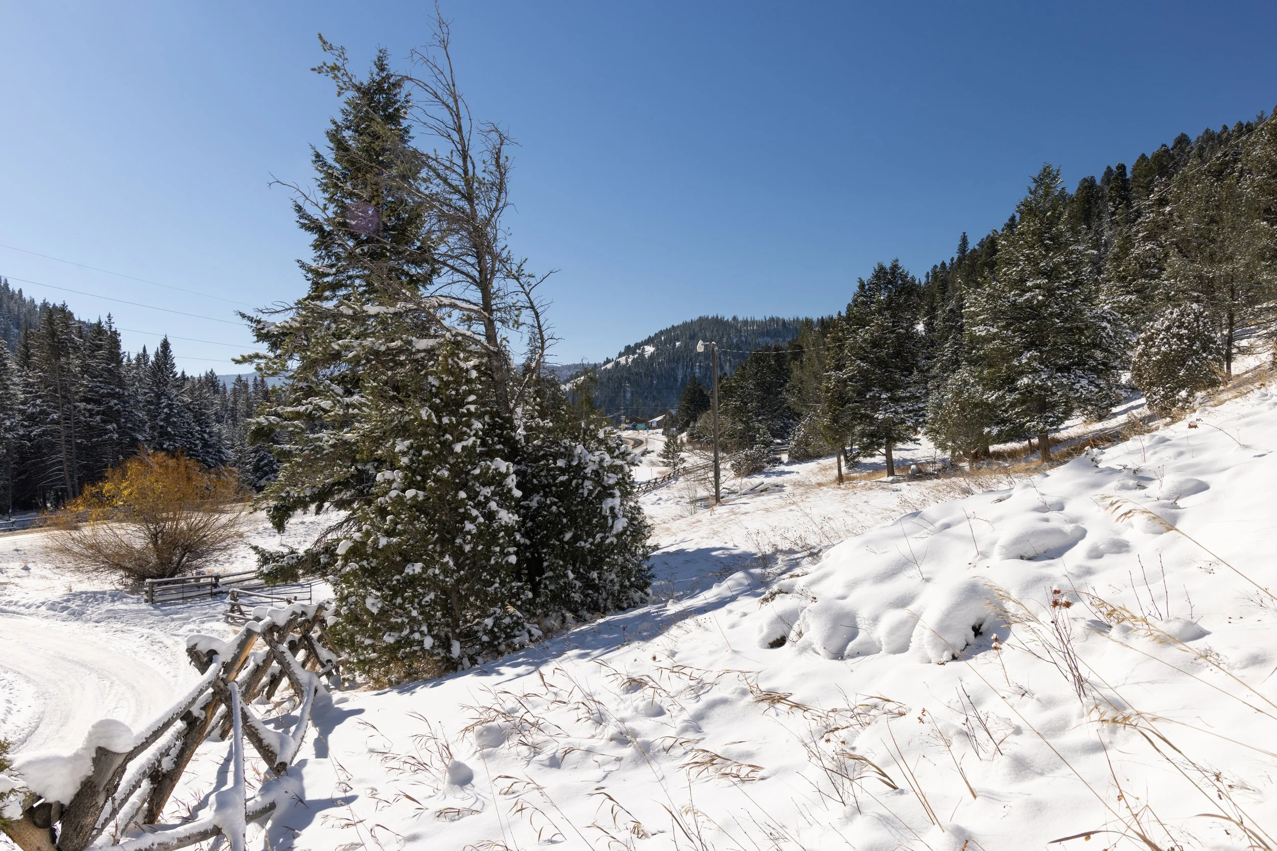 48295 Gallatin Rd Lot 8.jpg