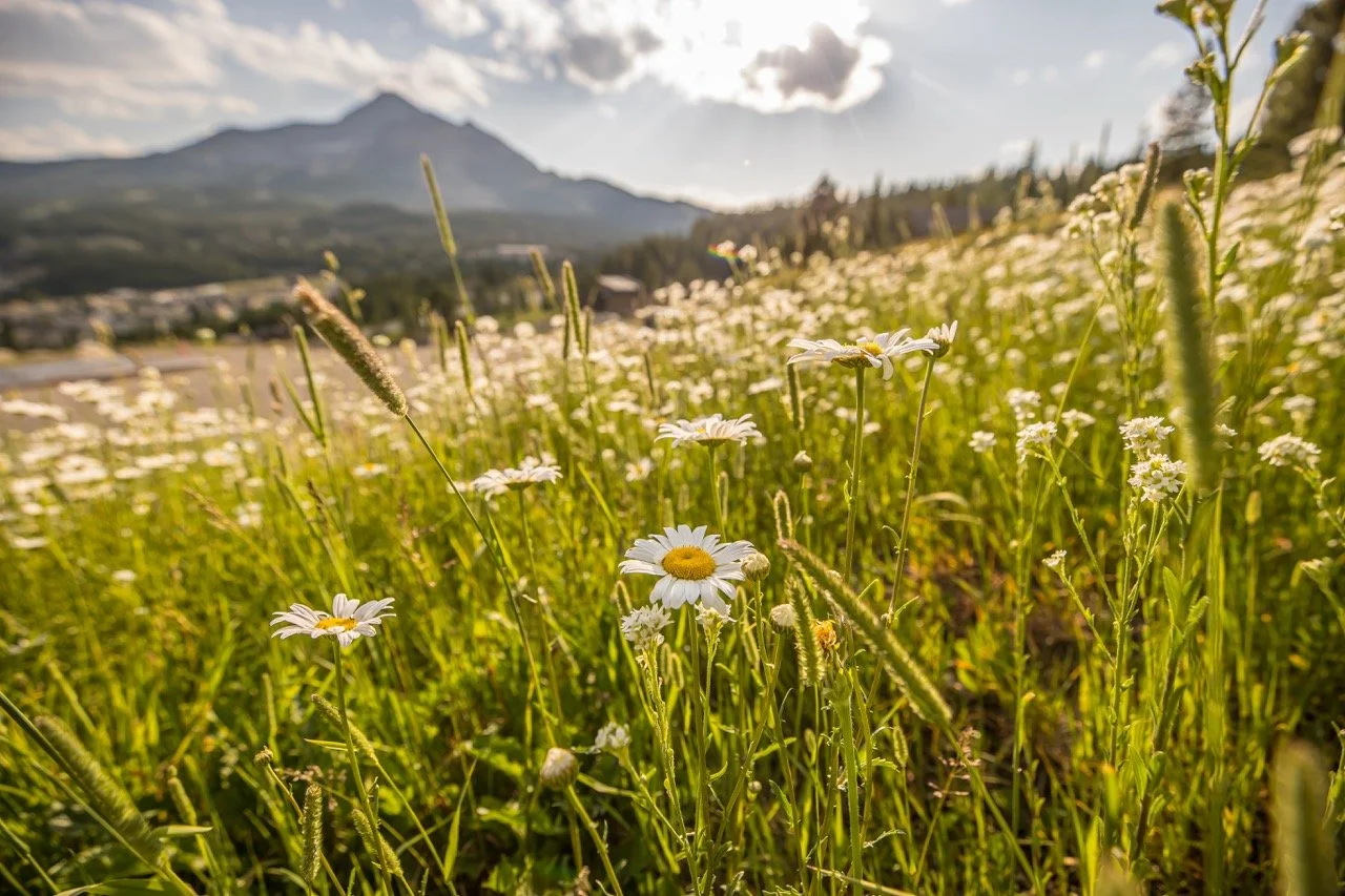 Washakie Lot 23-7116 Large.jpeg