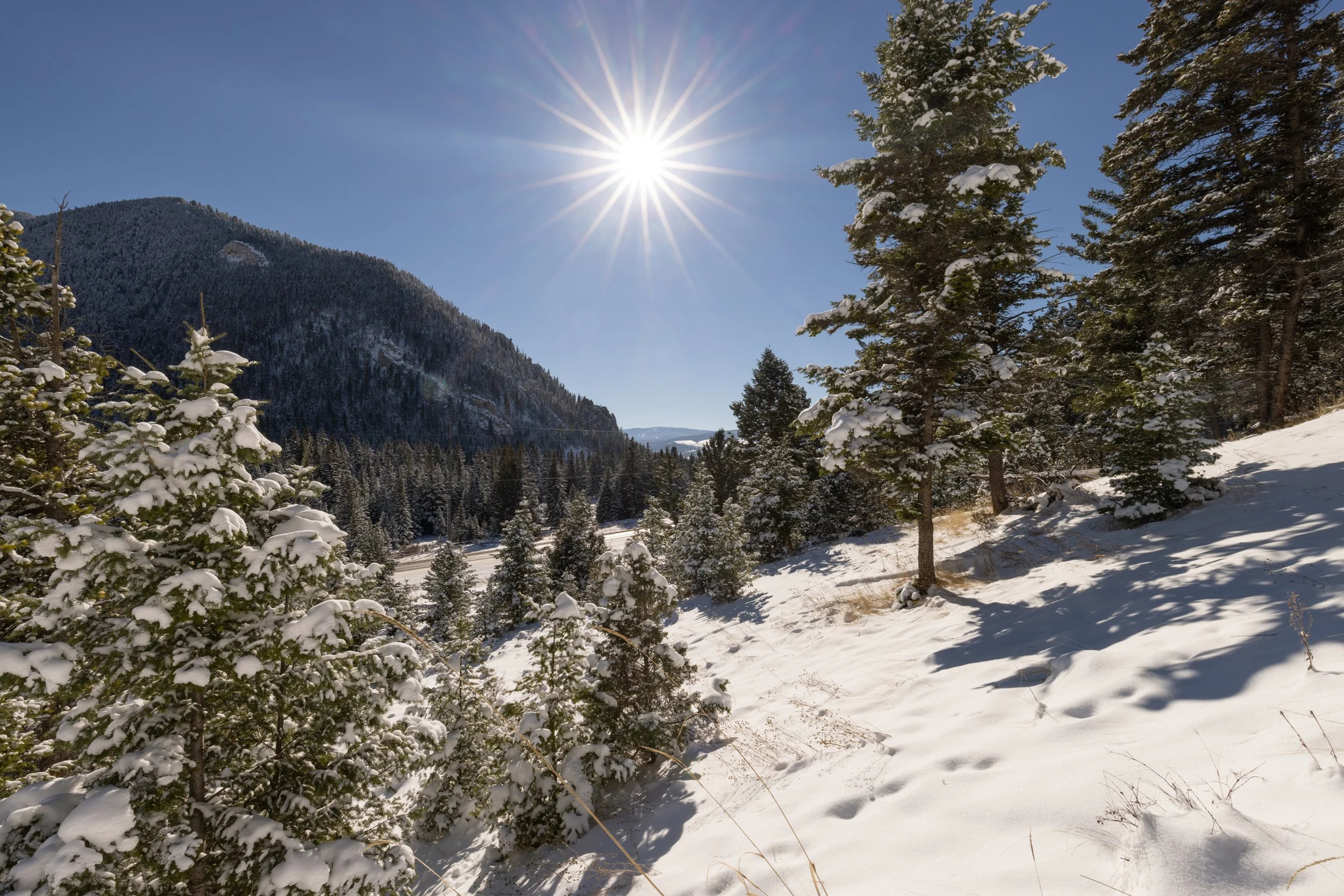 48295 Gallatin Rd Lot 3.jpg