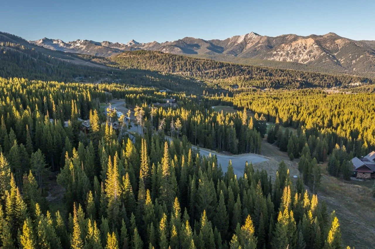 SPMC Lot 76-0984 Large.jpeg