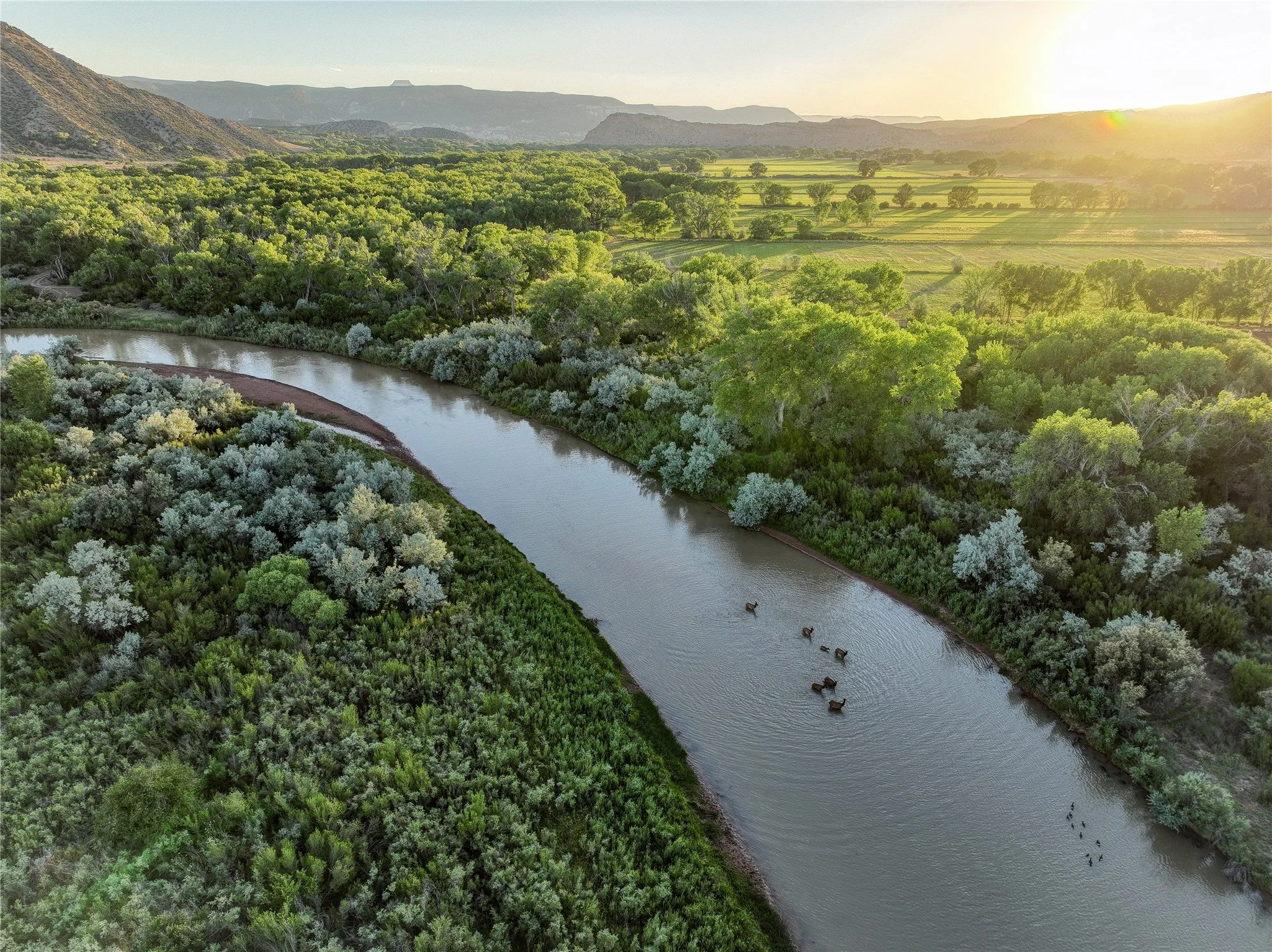 DJI_0419.jpg