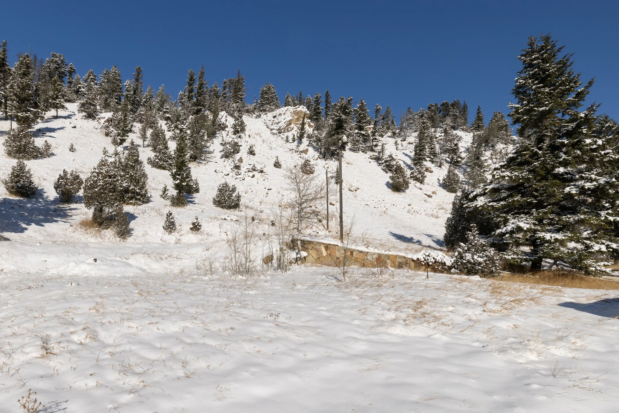 48295 Gallatin Rd Lot 6.jpg