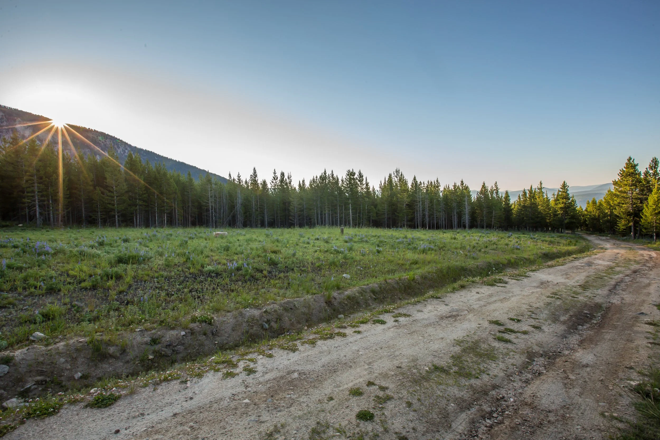 Circle M Ranch-5928.jpg