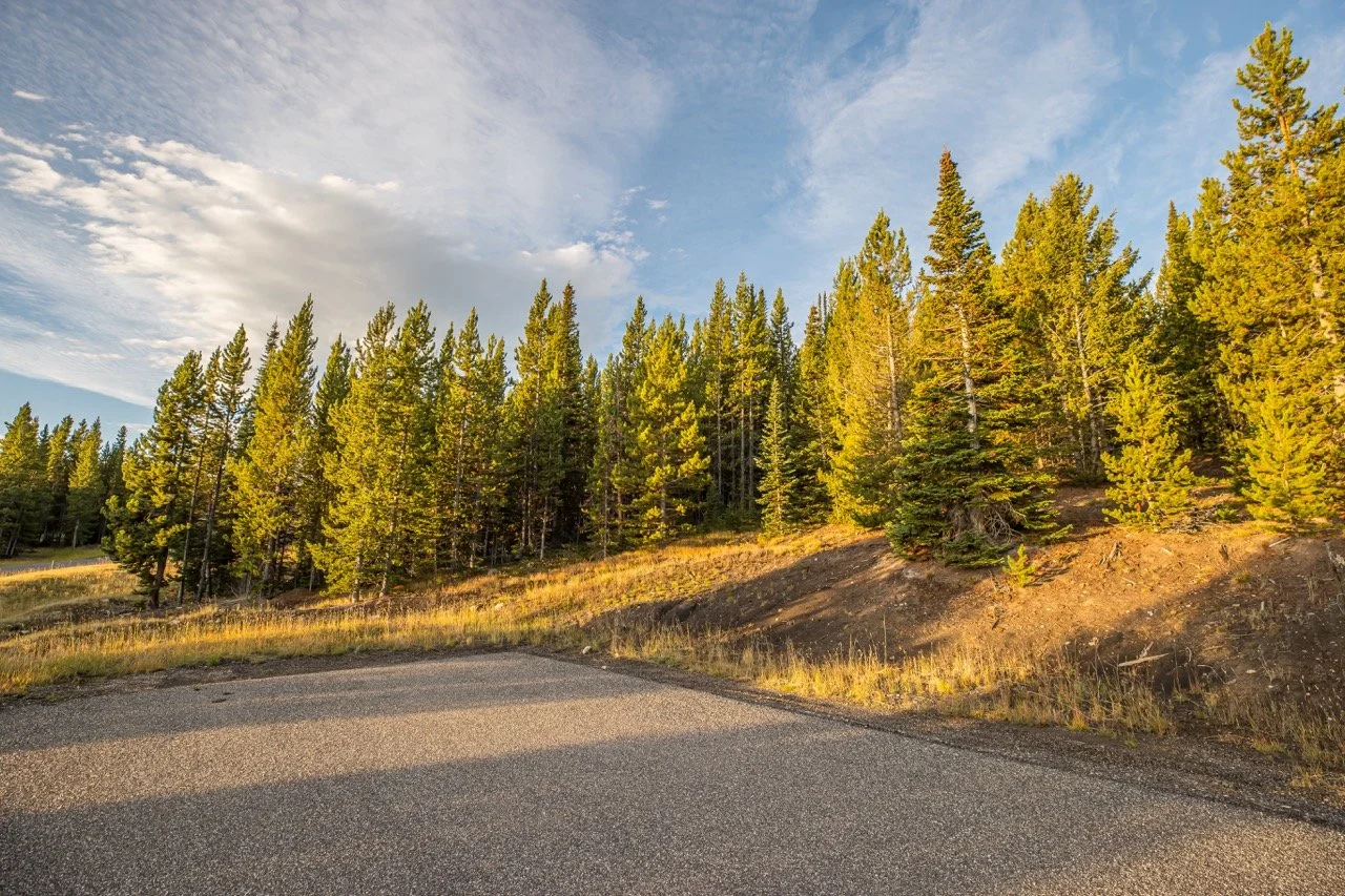 SPMC Lot 76-0309 Large.jpeg