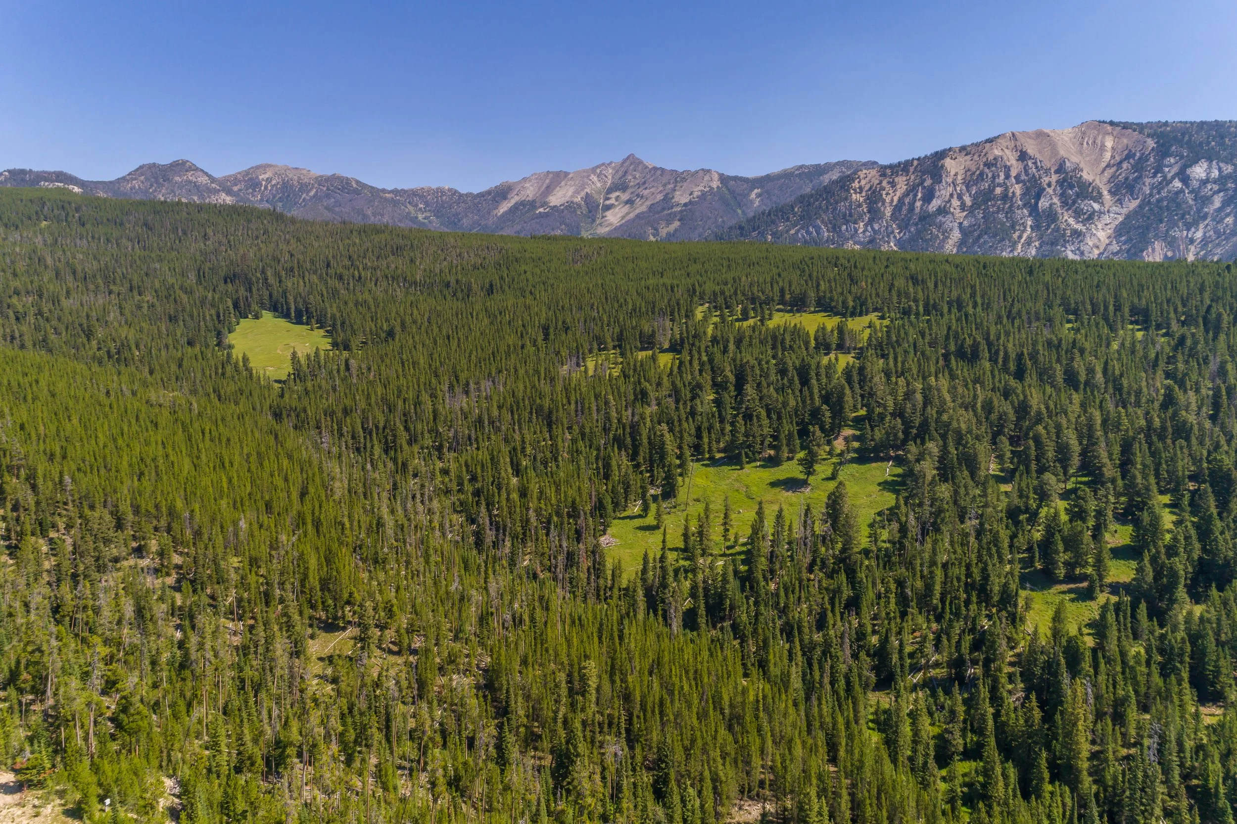 Circle M Ranch-0061.jpg