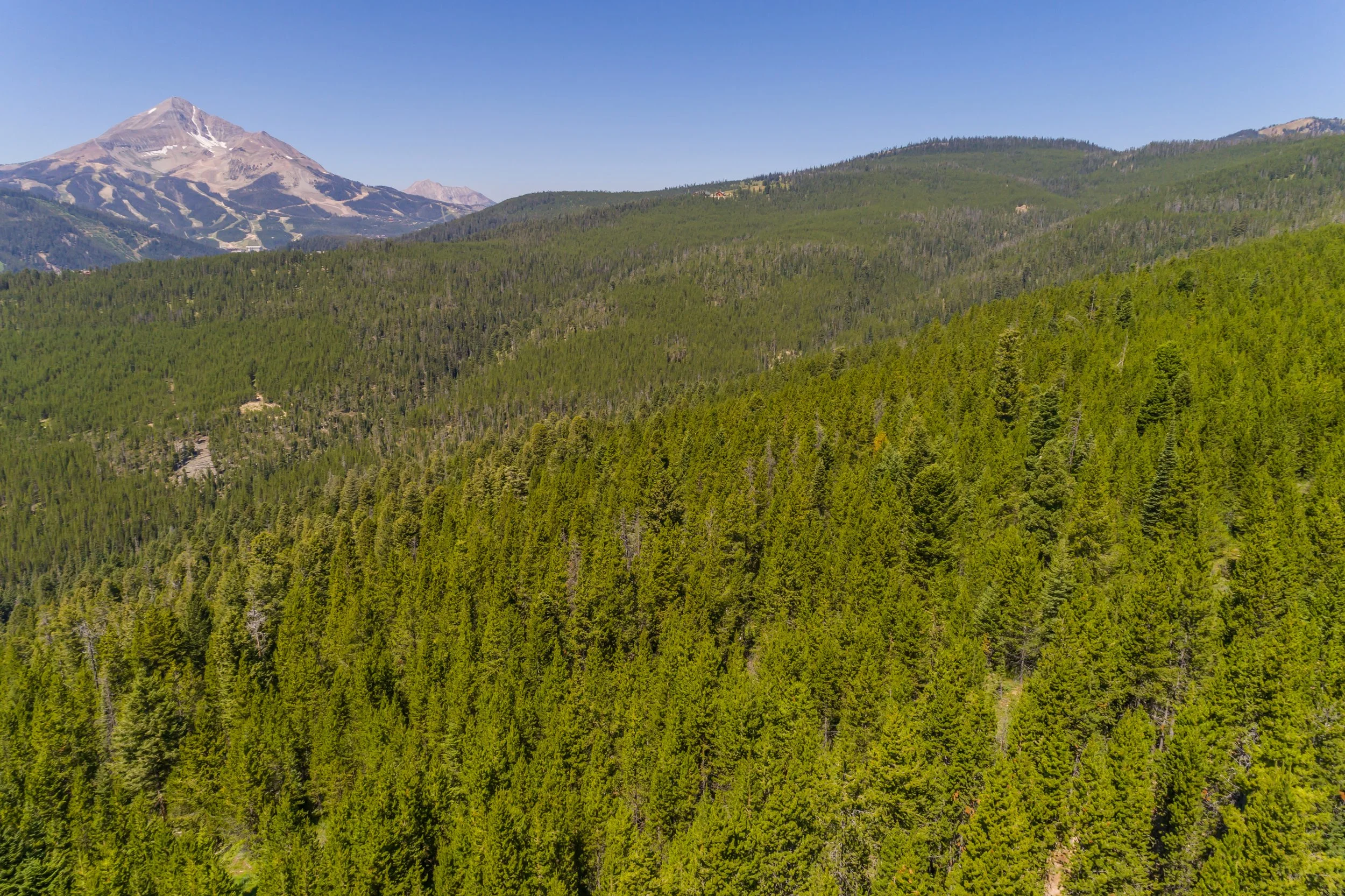 Circle M Ranch-0063.jpg