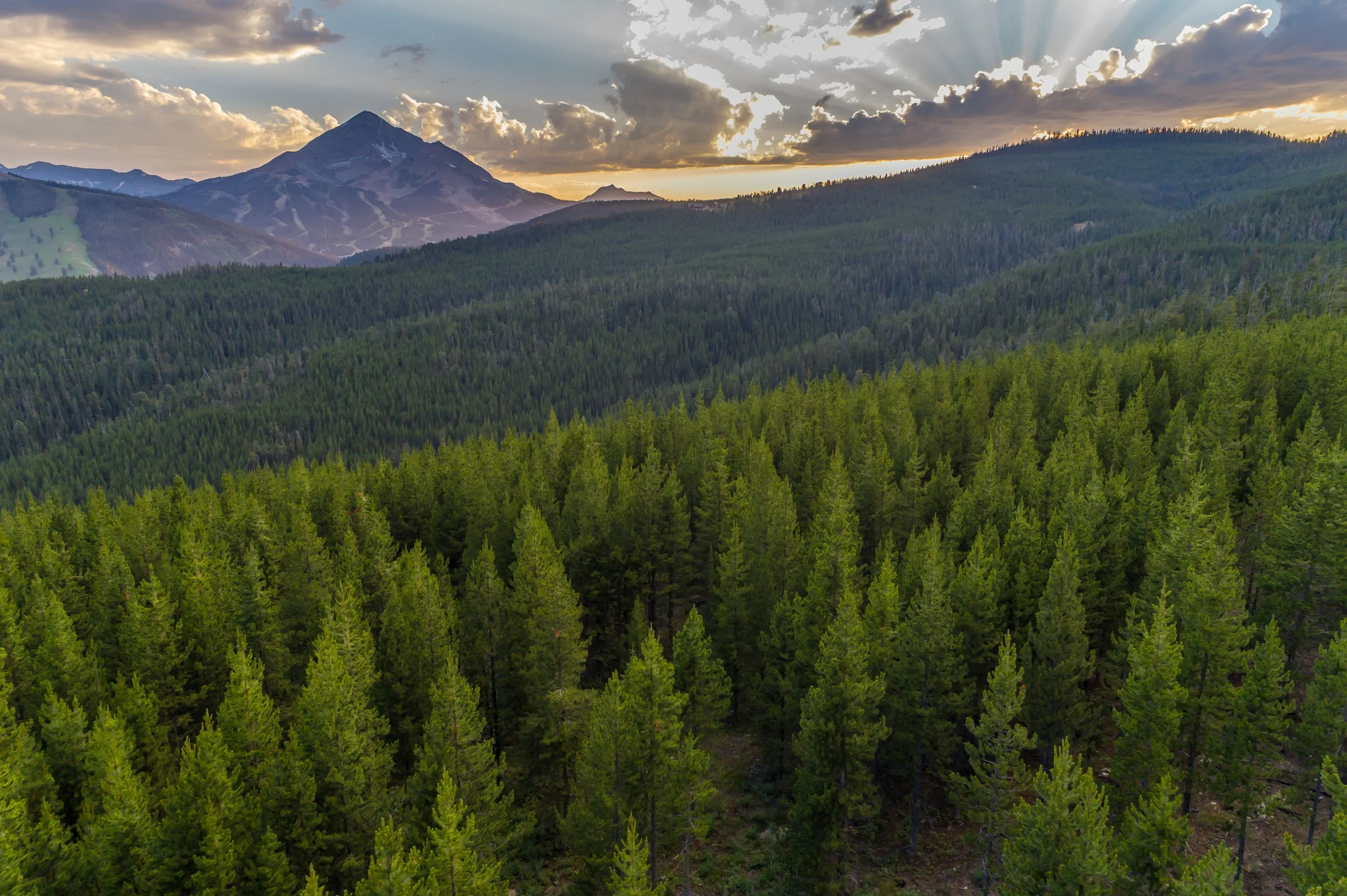 Circle M Ranch-0036.jpg