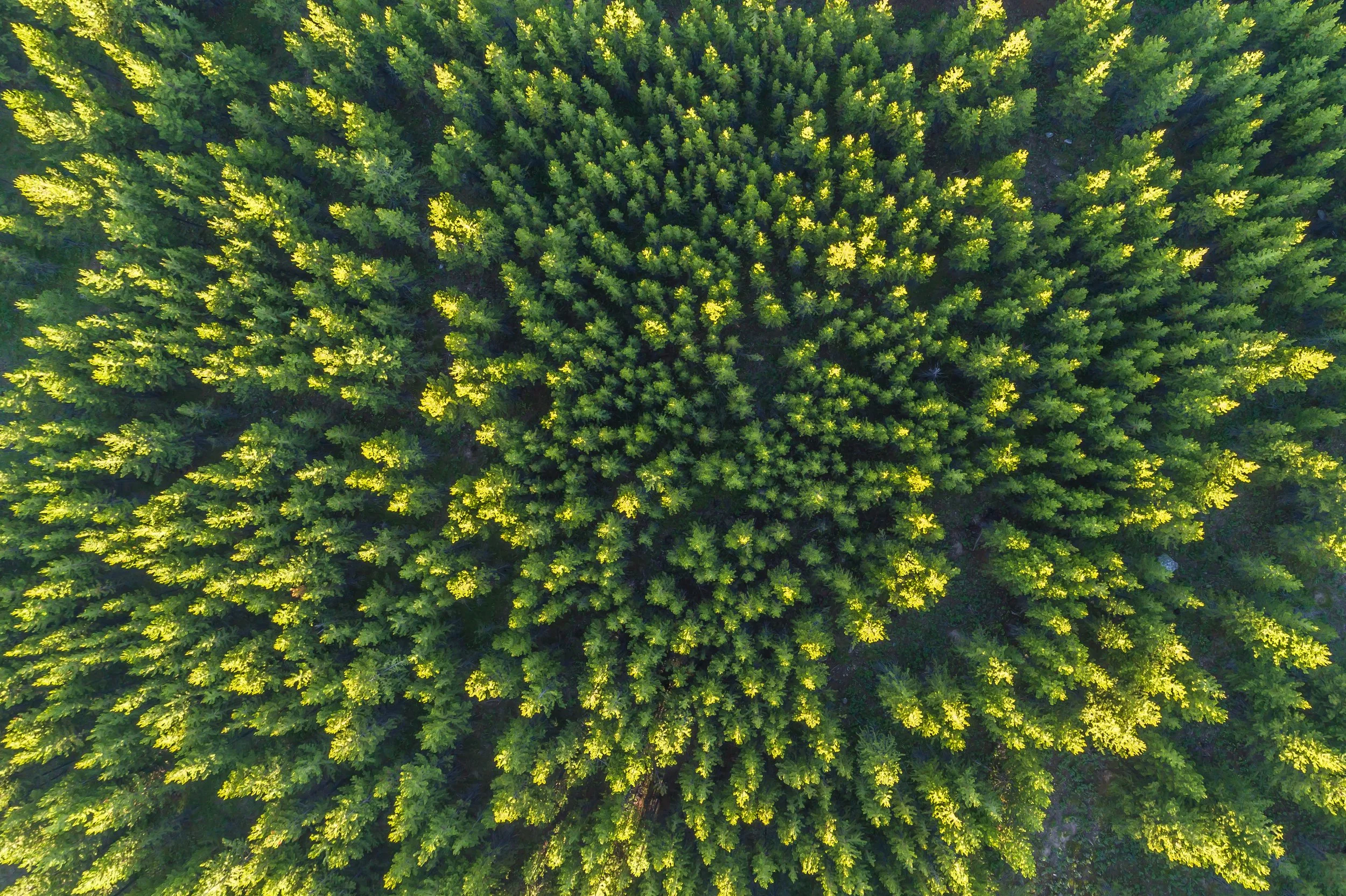 Circle M Ranch-0032.jpg