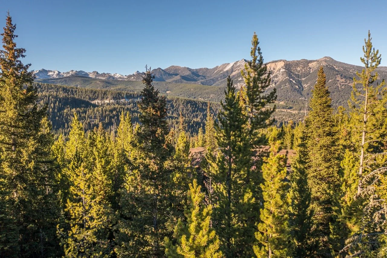 SPMC Lot 76-0981 Large.jpeg