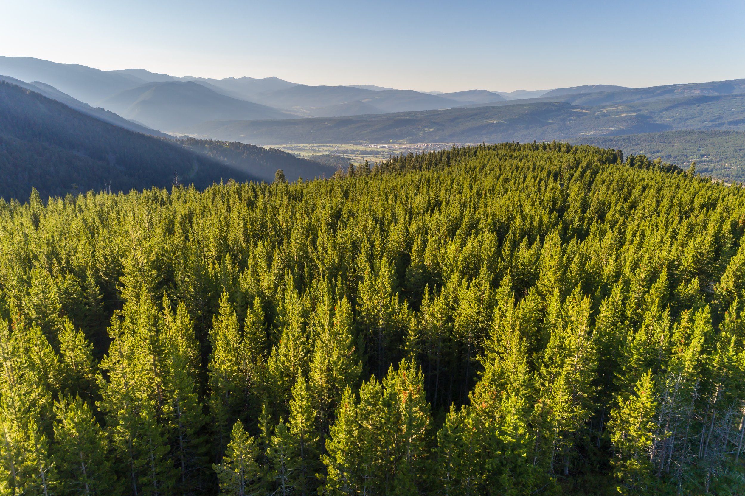 Circle M Ranch-0028.jpg