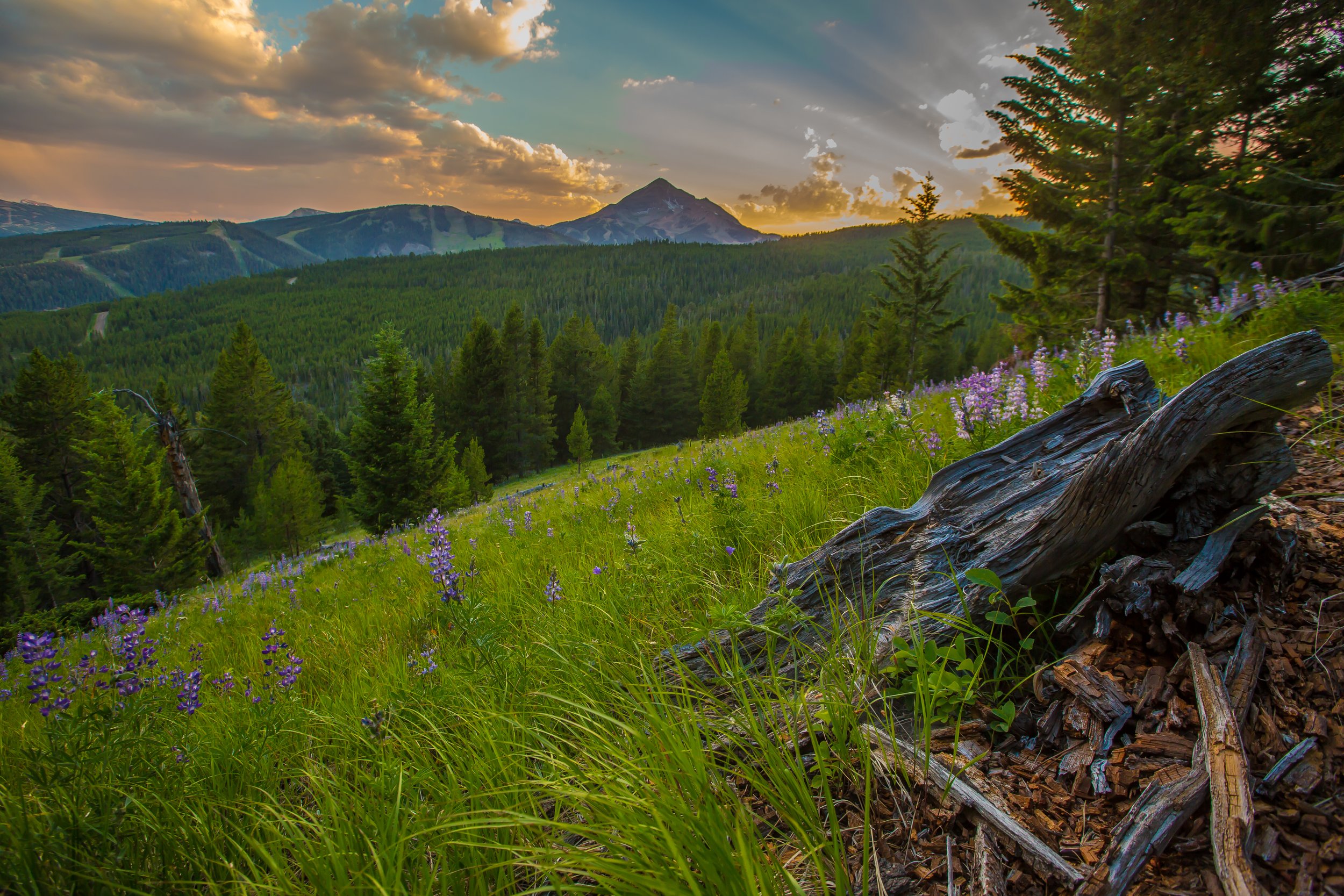 Circle M Ranch-5985.jpg