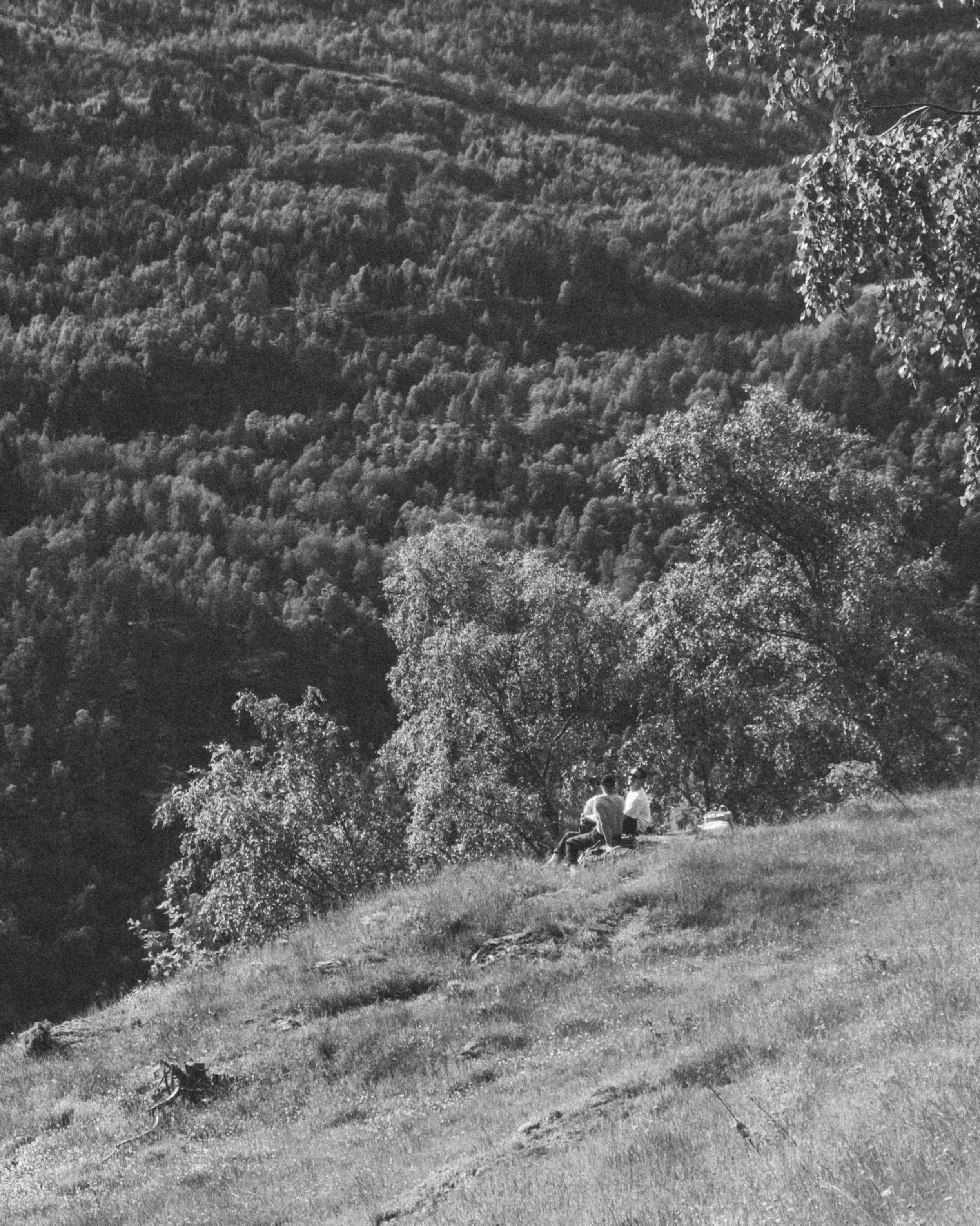 LA-BERGTATT-TORSDAG-26.jpg