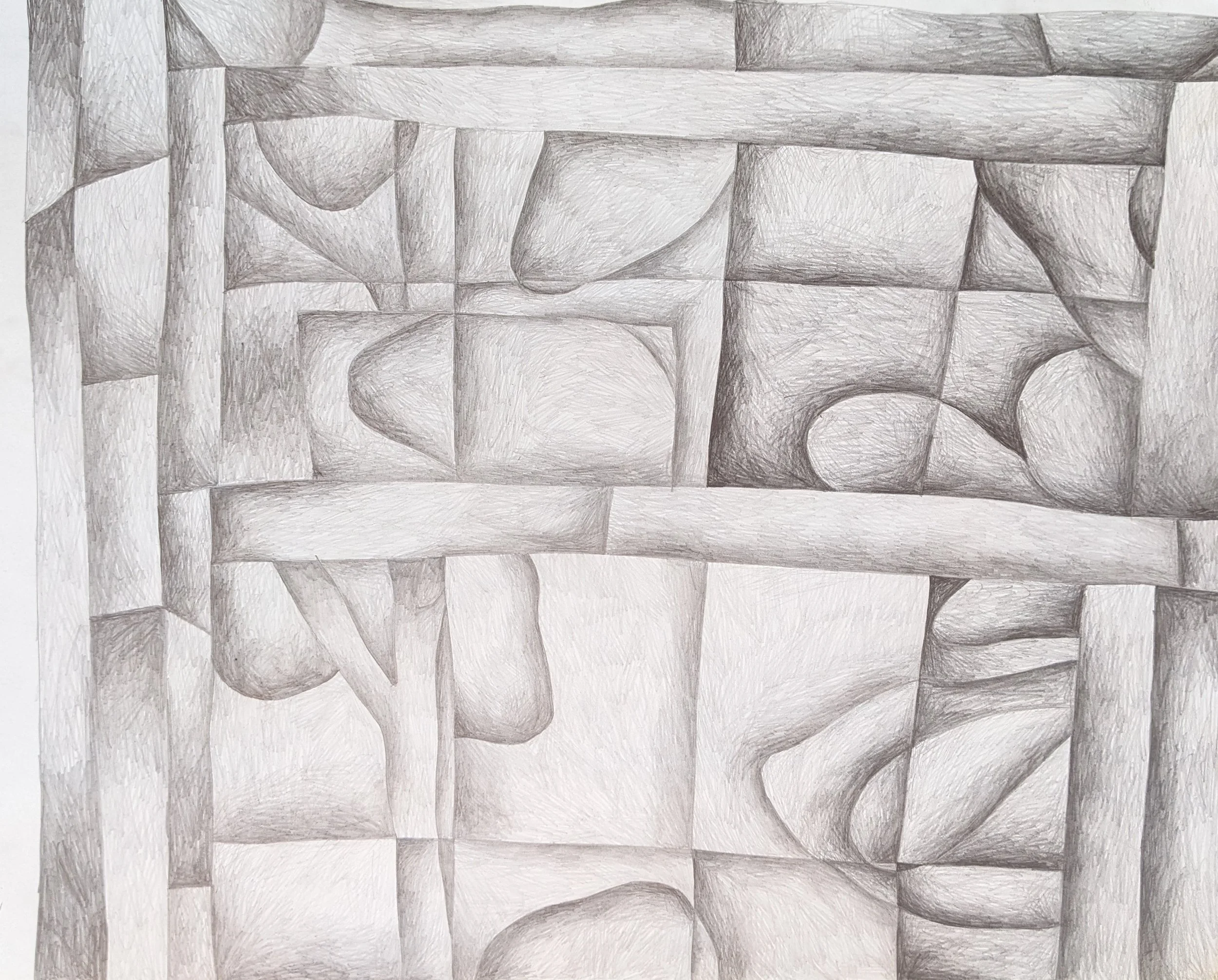 Daley- Observation Drawing 2.jpg