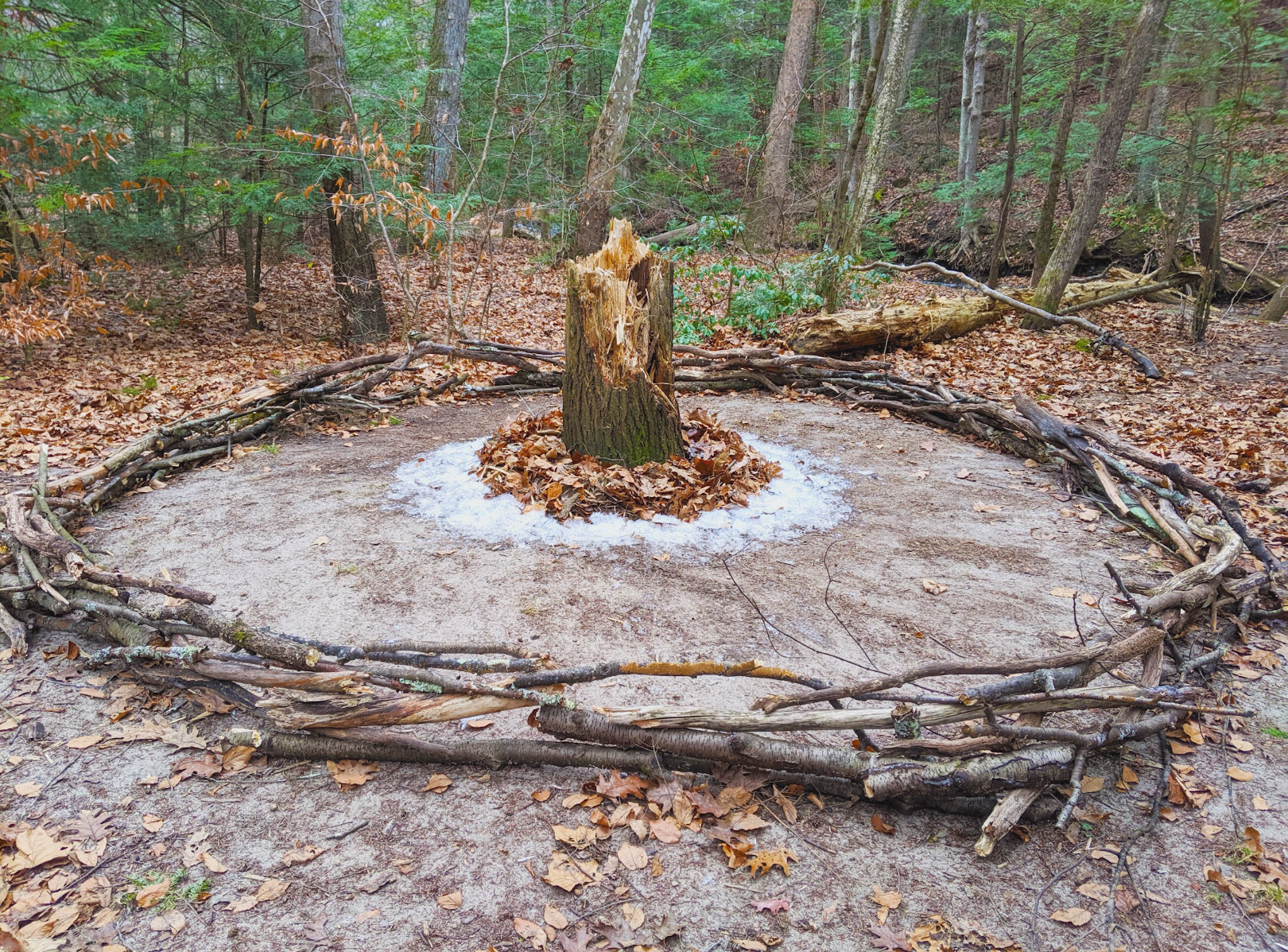 Daley- Our Earth w ice full view.PNG