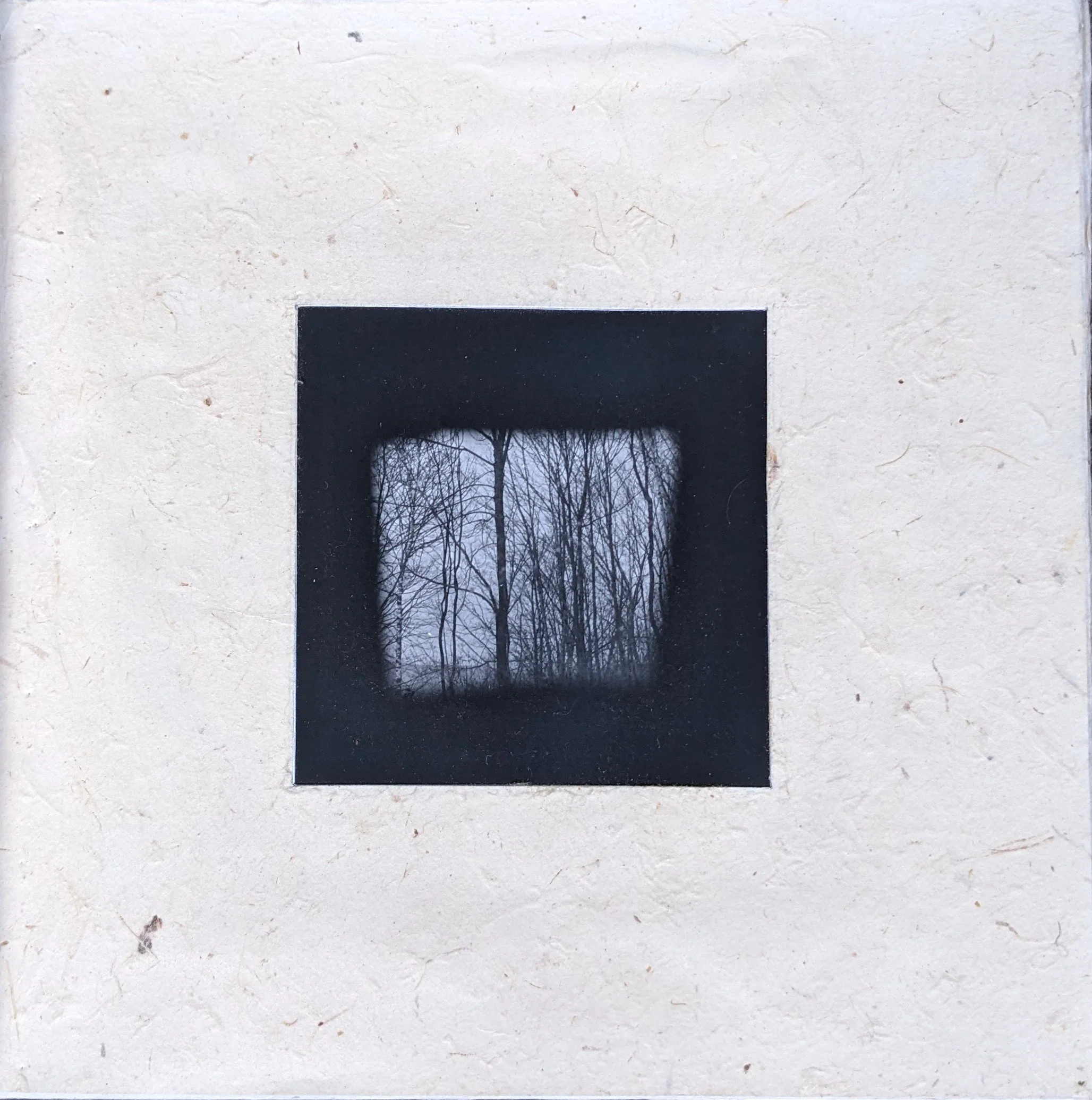 Book- first page.jpg