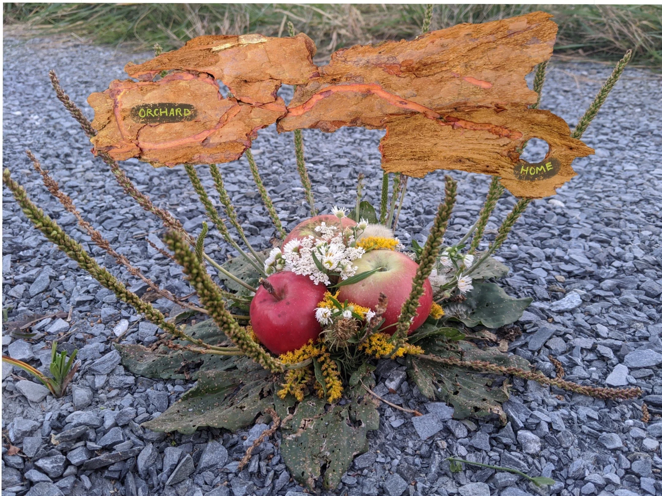 Daley- gift to Nature-map to home.JPG