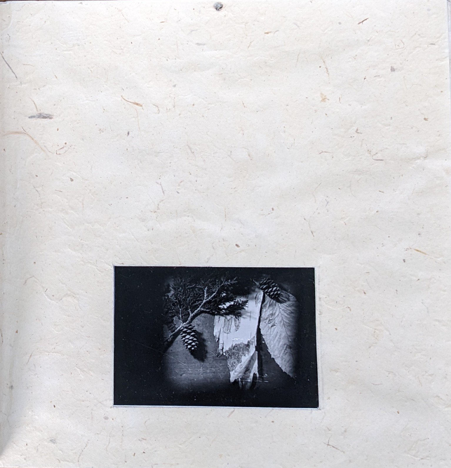 Book- second page.jpg