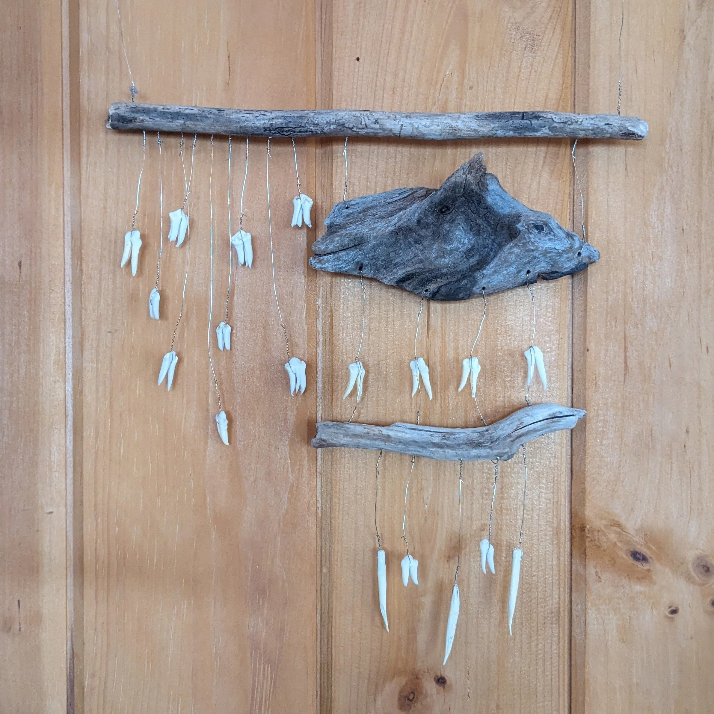 Daley- driftwood, pig teeth mobile.jpg