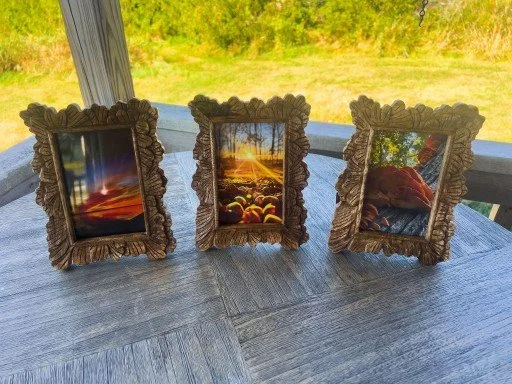 3 pics.jpg