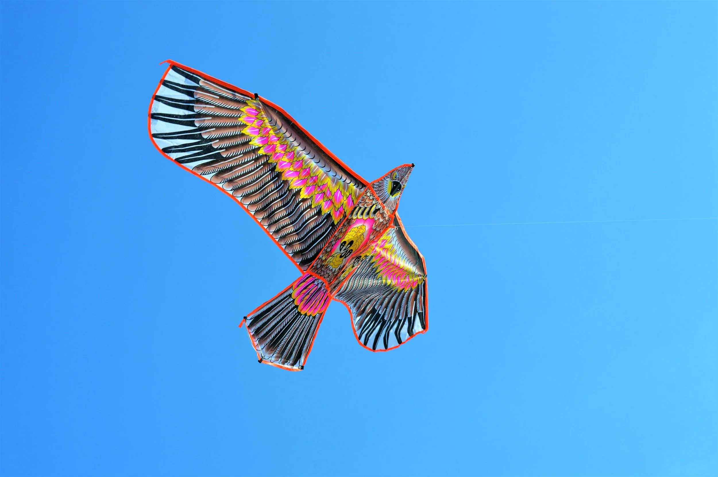 Photo by Rashid Khriess on Unsplash