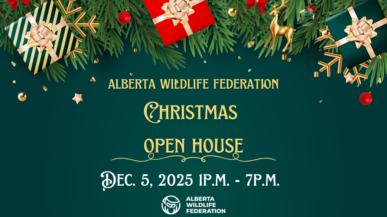 🎄 Alberta Wildlife Federation Christmas Open House