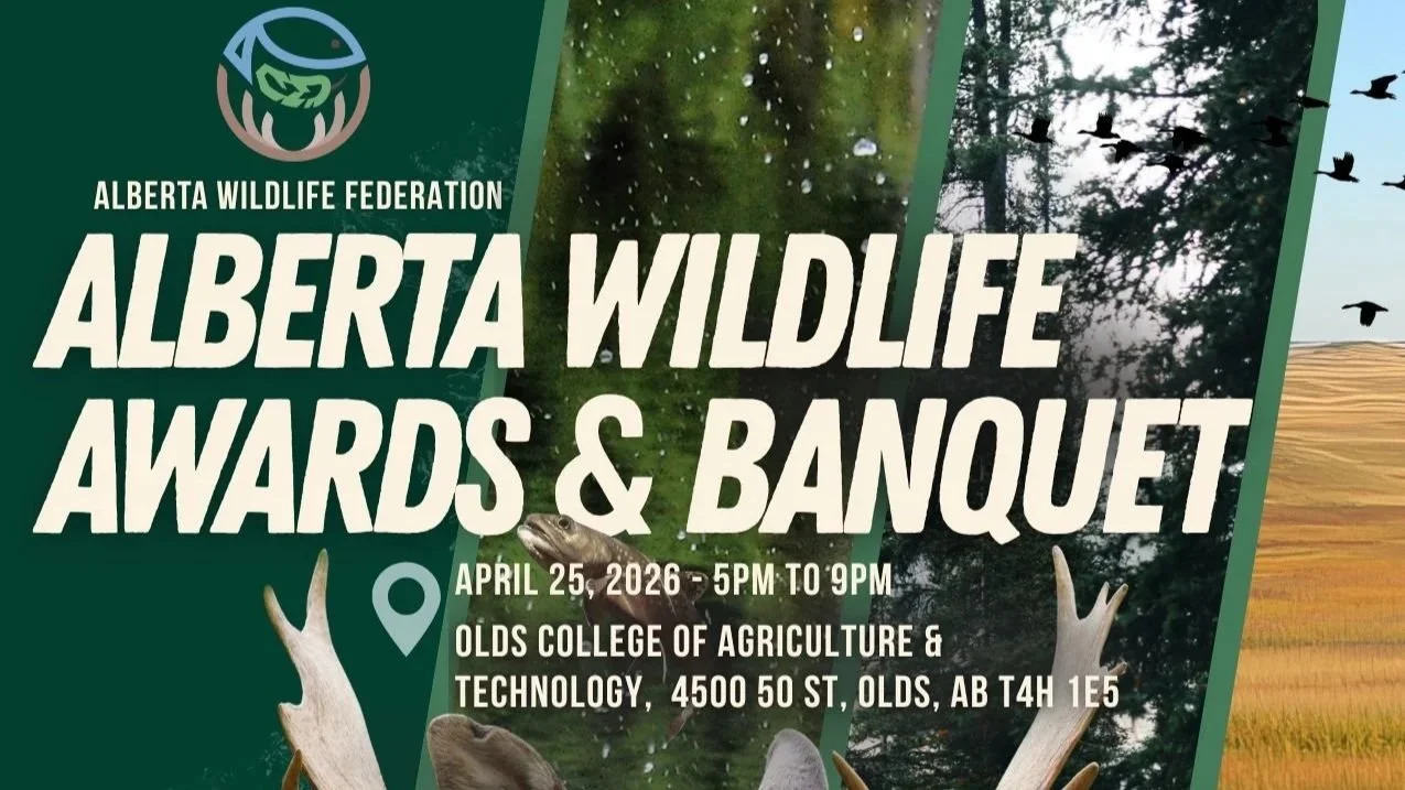 AWF+Wildlife+Awards+%26+Banquet+Promo+Ad2.jpg