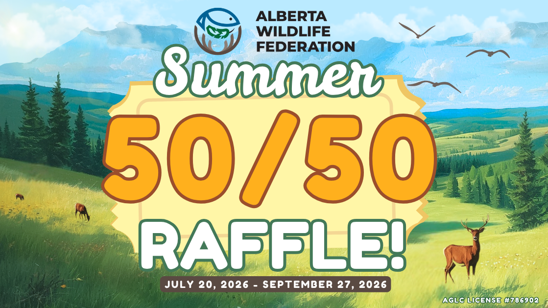 Summer+5050+Raffle+Promo+Ad+%281120+x+630+px%29.png