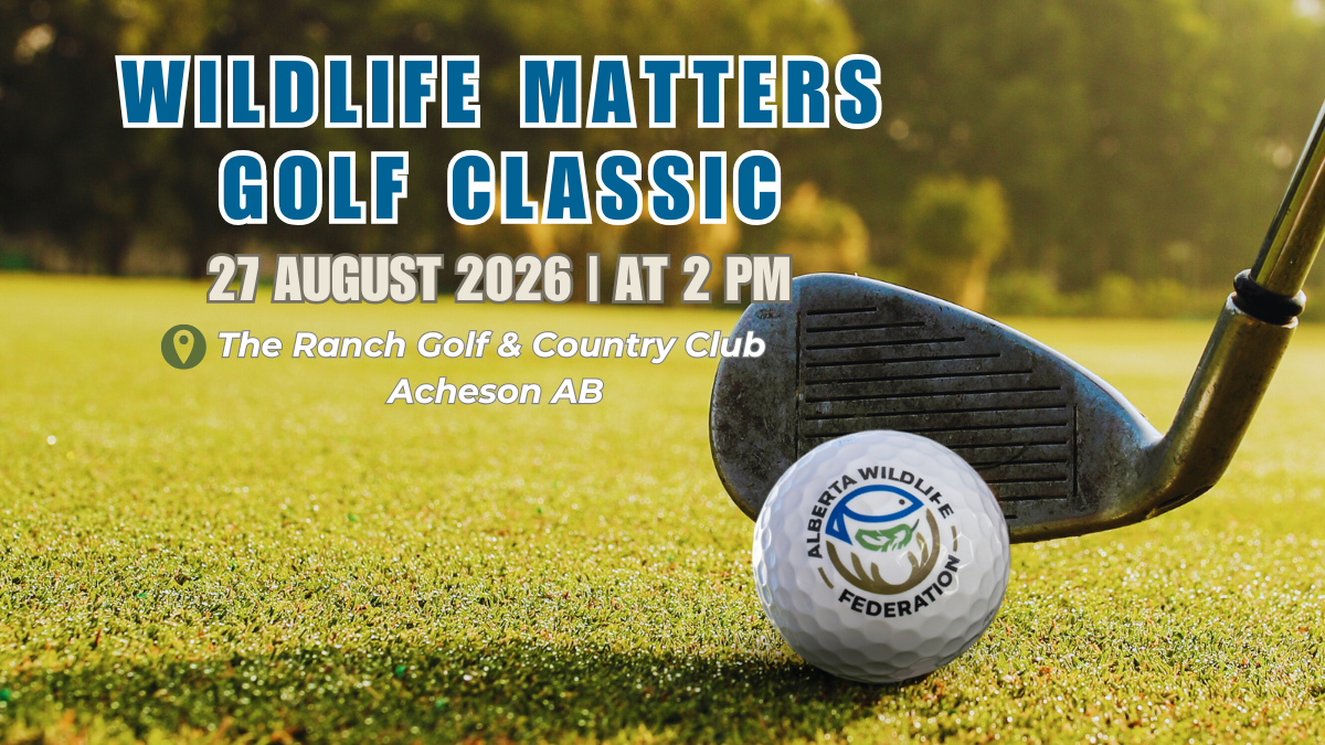 AWF+Golf+Tournament+Promos+%281200+x+750+px%29+%281%29.png