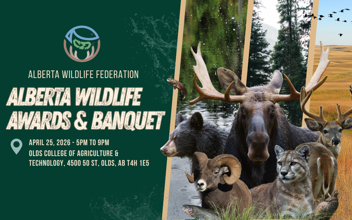 WAB 2026 Thumbnail (1200 x 750 px).png