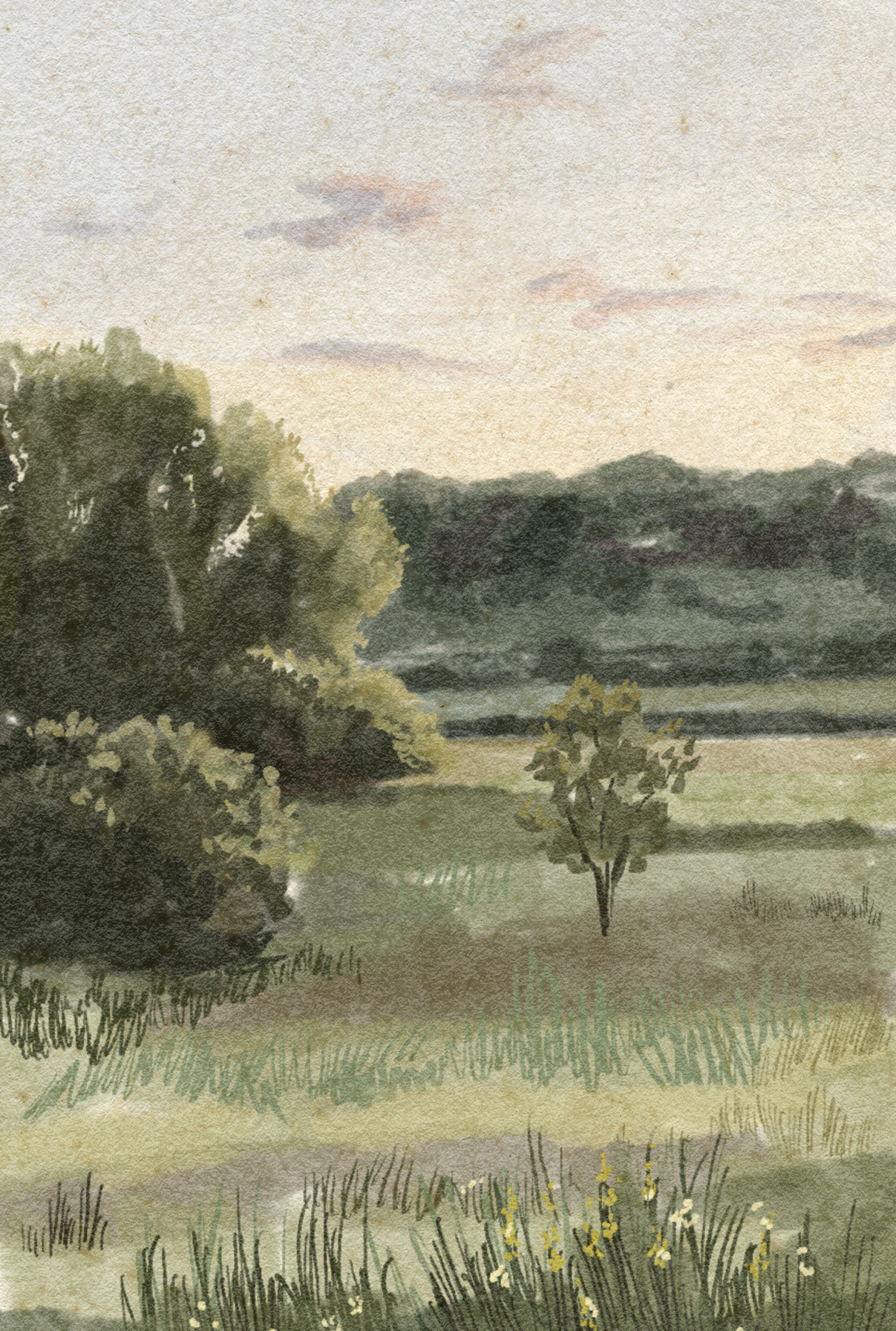sunset meadow.png